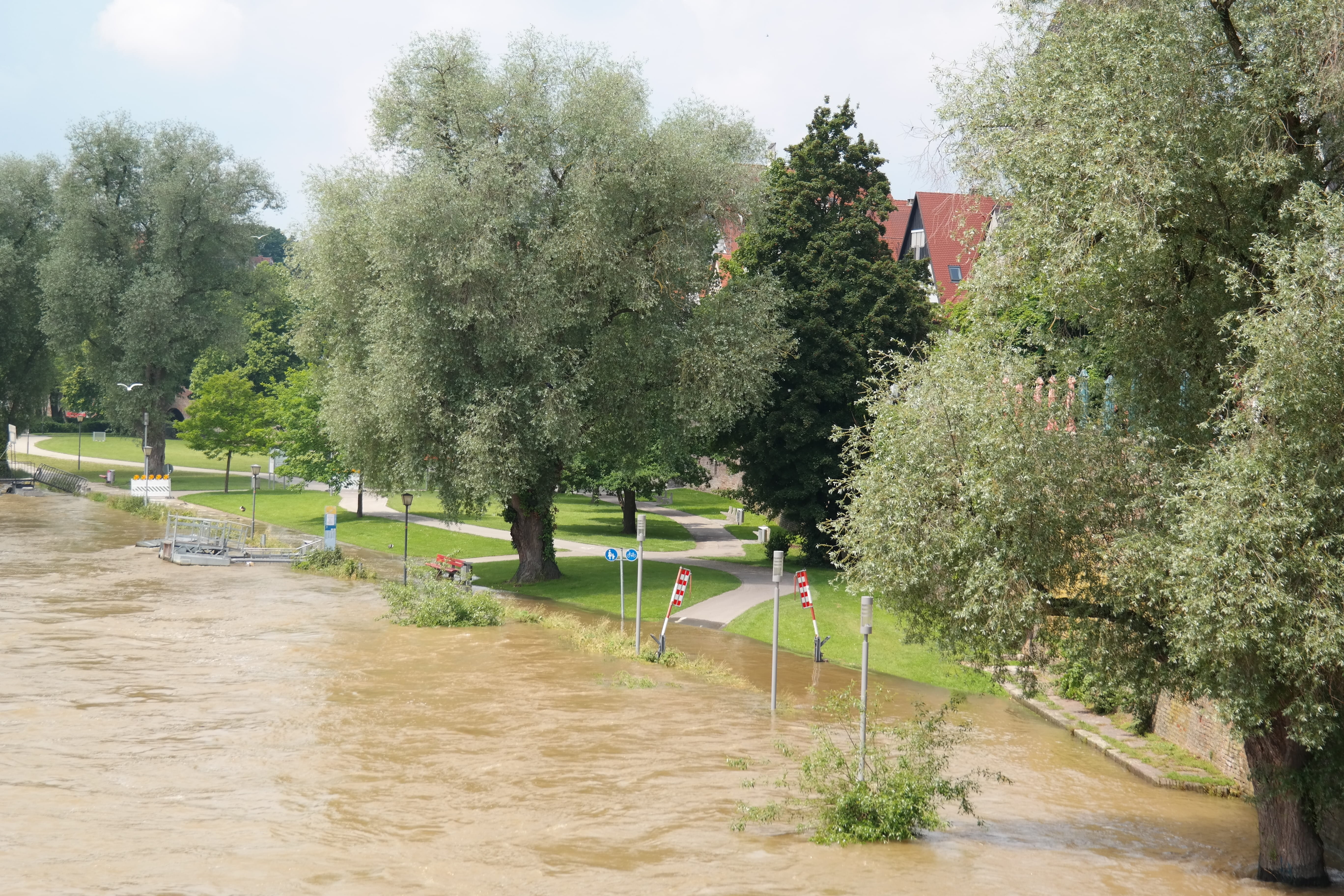 plant, day, ulm, damage, outdoors, climate change, built structure, footpath, photography, daytime, force of nature, sky, growth, beauty in nature, high water, HD Wallpaper