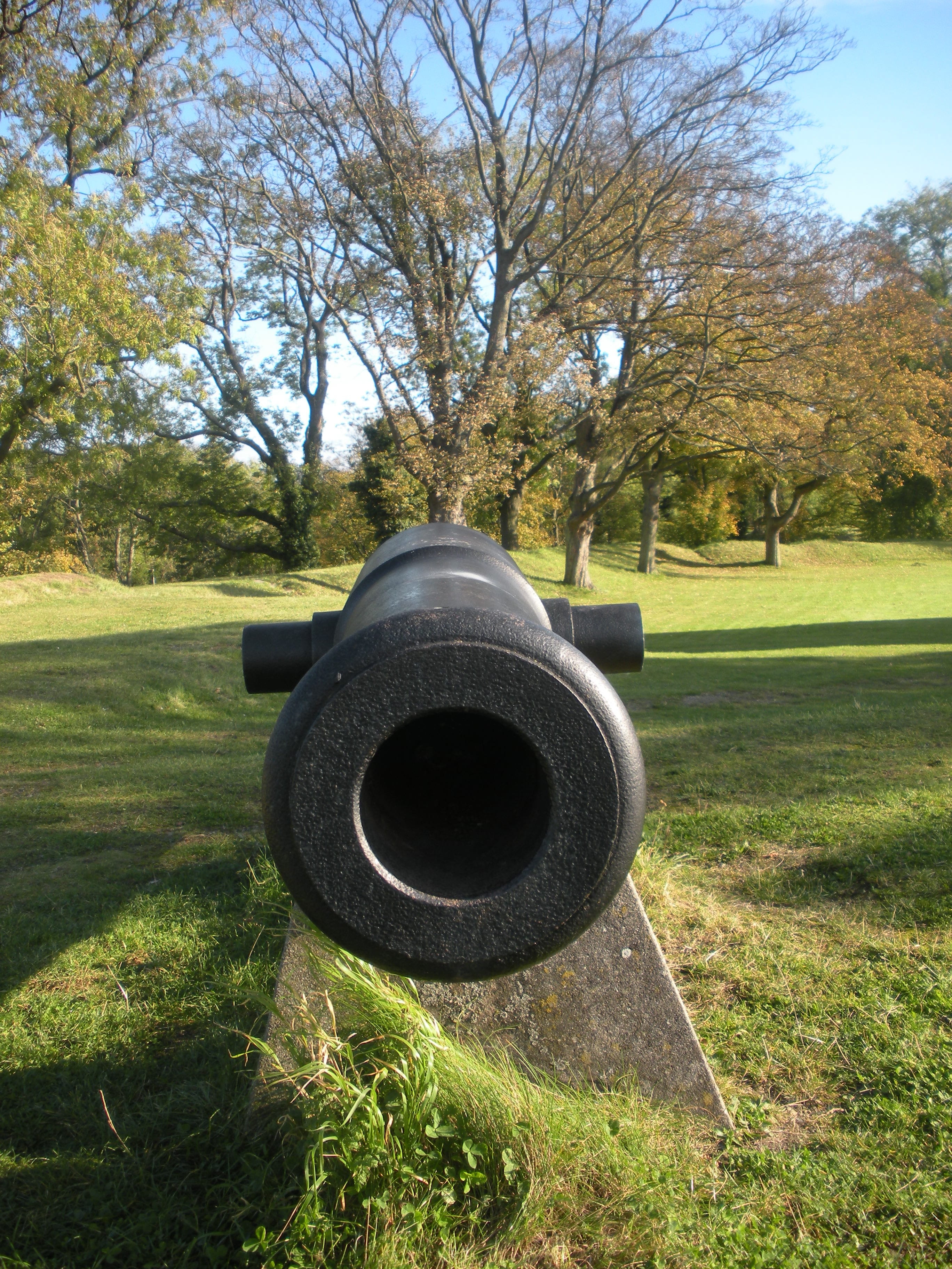soldier, Cannon, sky, field, shoot, bomb, historical, shadow, War, sunlight, cannonball, ancient, growth, tranquil scene, defense, protection, tank, antique, Phone HD Wallpaper