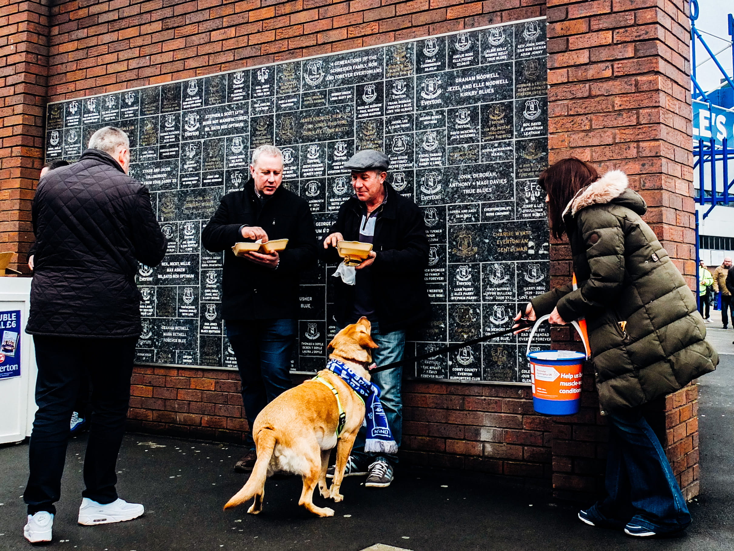 standing, everton, england, leisure activity, eating, fans, adult, domestic animals, football, lifestyles, goodison park, chips, dog, men, domestic, football fans, HD Wallpaper