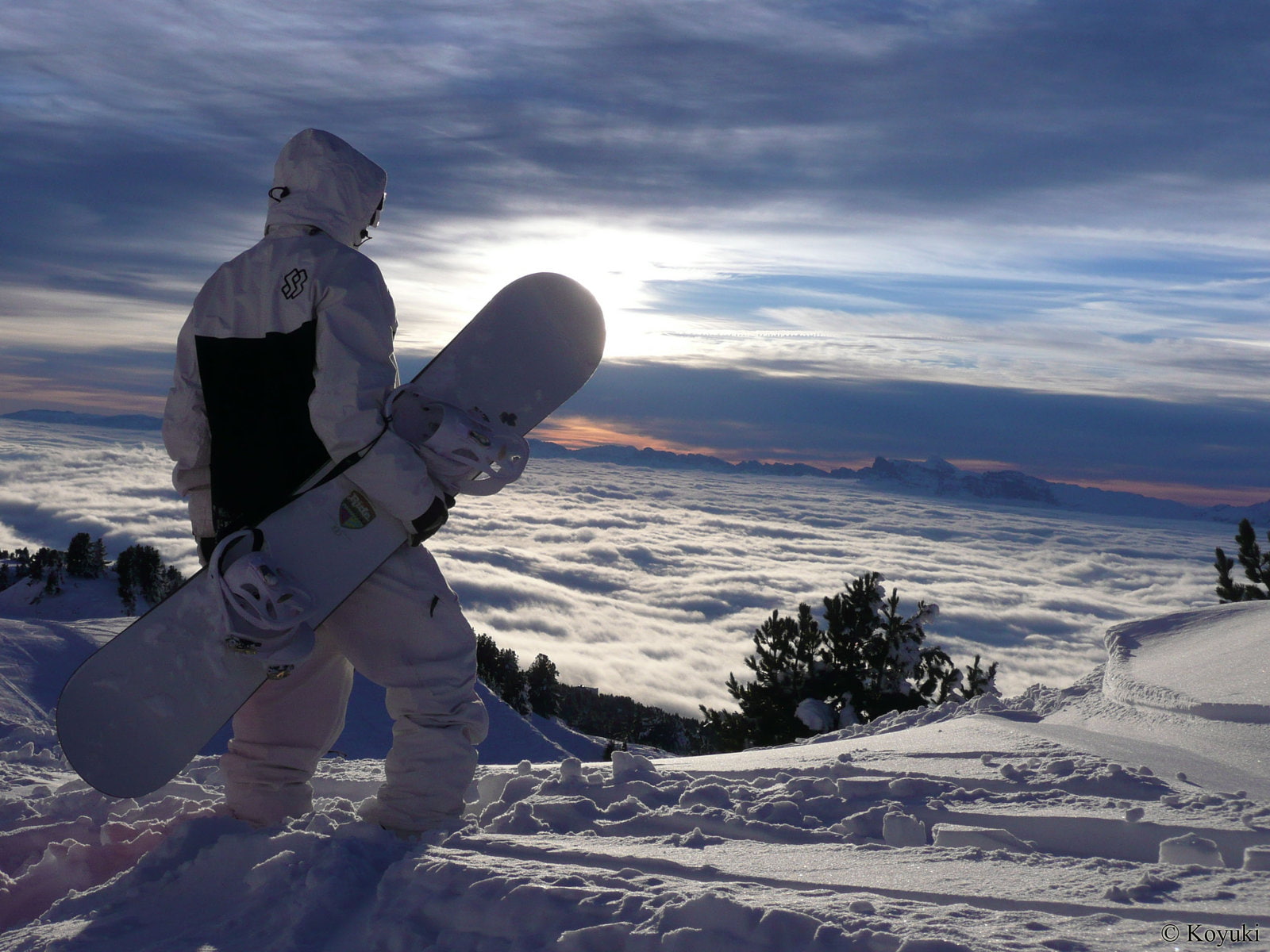 snow, white, sports, snowboards, winter, gray, snowboarding, 720P, snowboard, HD Wallpaper