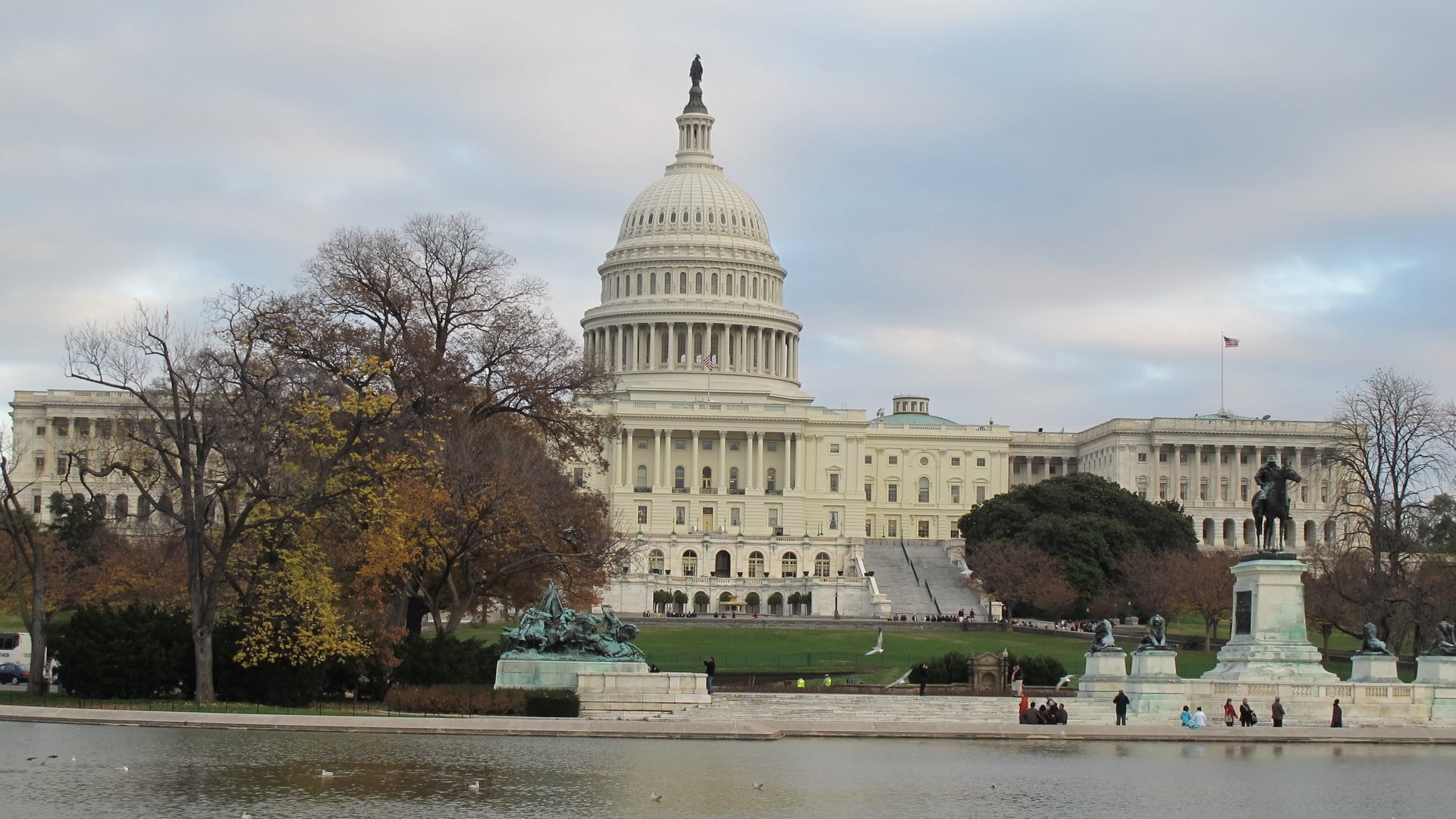tree, united States Senate, congress, sky, dc, dome, washington, uSA, american Culture, no People, day, capital Cities, washington DC, federal Building, HD Wallpaper