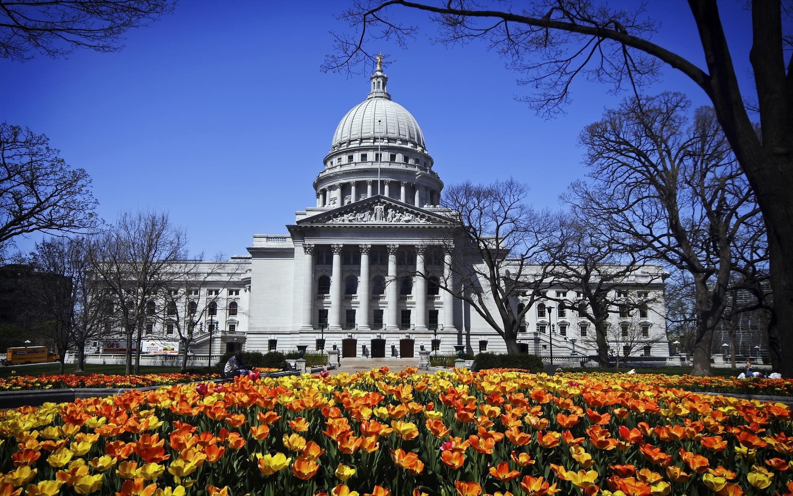 plant, famous Place, building Exterior, built Structure, house, history, vulnerability, washington, government, architectural column, flowering plant, architecture, HD Wallpaper