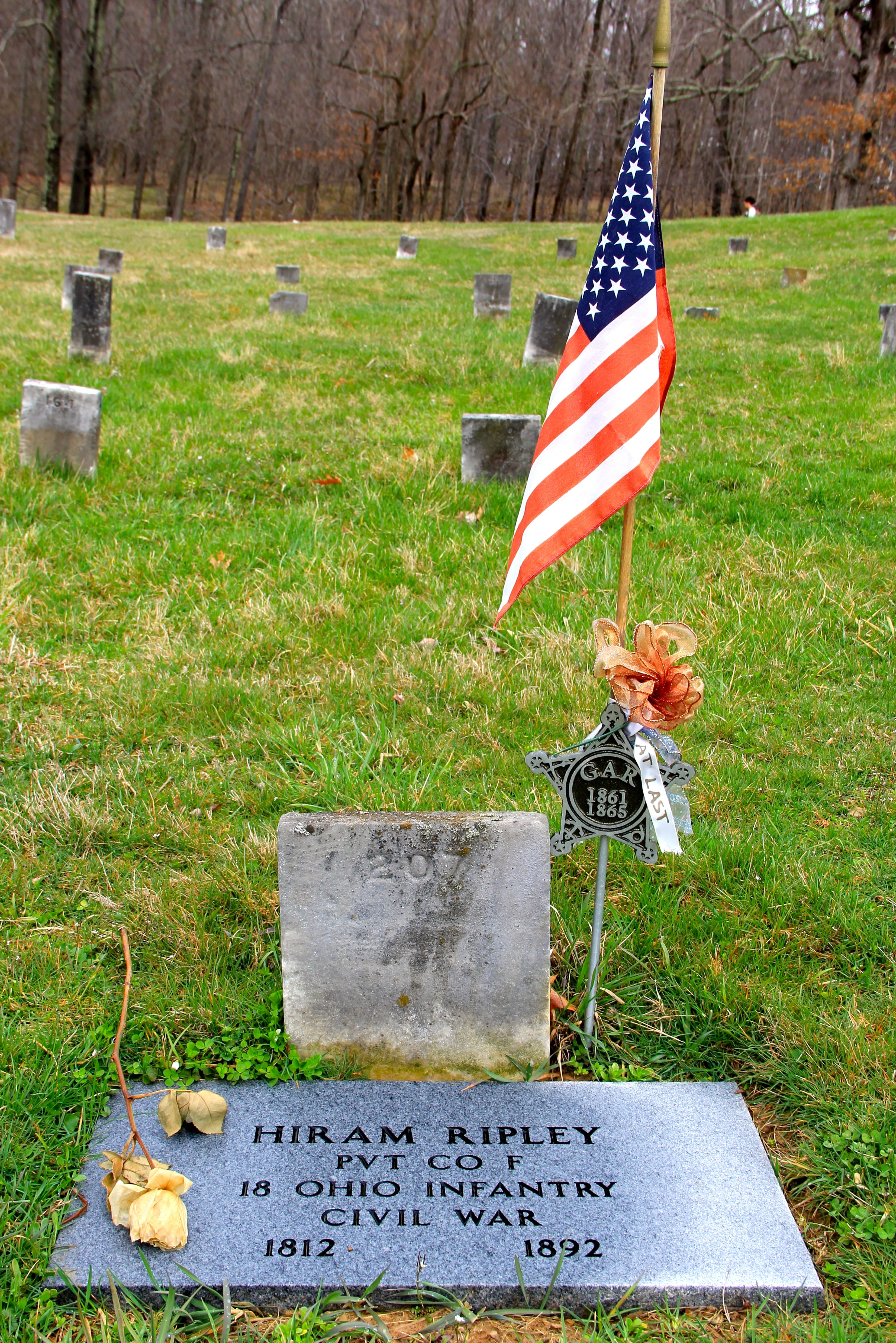 plant, confederate, nature, field, civil war, emotion, war, flag, patriotism, grass, outdoors, no people, cemetery, union, waving, grave, memorial, independence, Phone HD Wallpaper