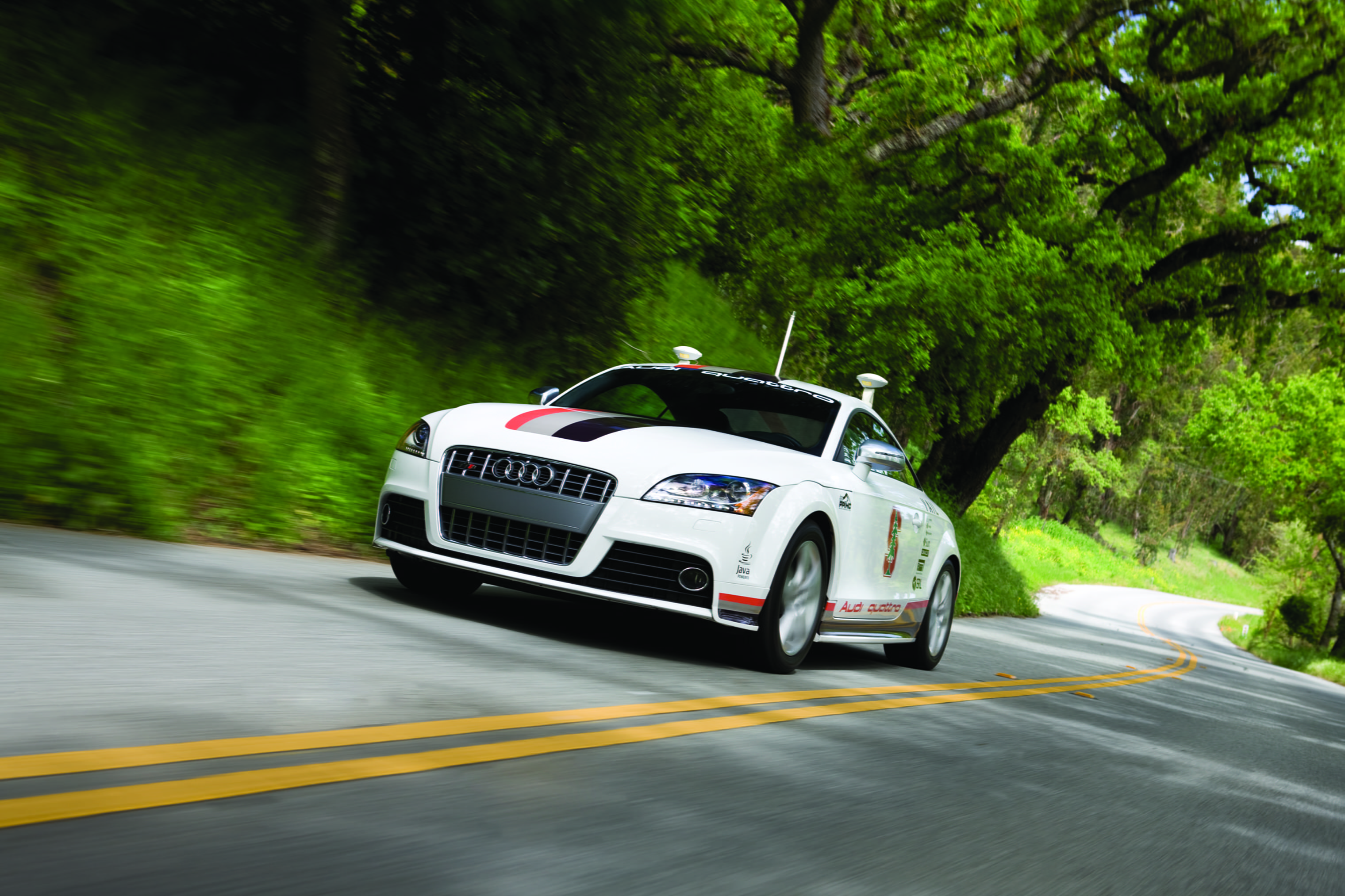 white, blurred motion, outdoors, Photo, tree, green color, motor racing track, movement, sports car, drive four, 2K, wallper, on the move, audi, HD Wallpaper