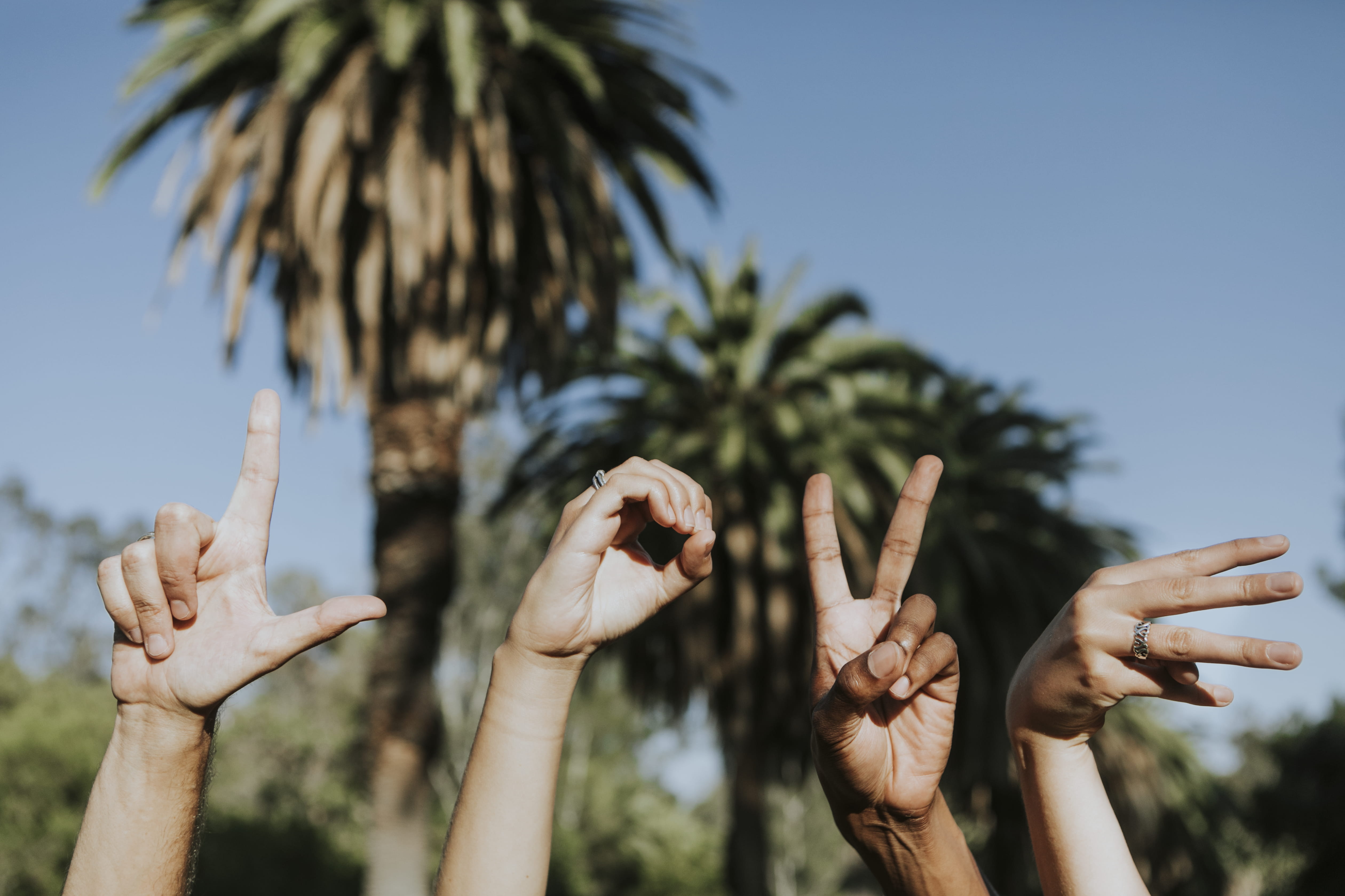 human arm, message, arms raised, fingers, sign, human hand, hand sign, hand, friends, focus on foreground, growth, hot, tropical, plant, palm trees, people, HD Wallpaper