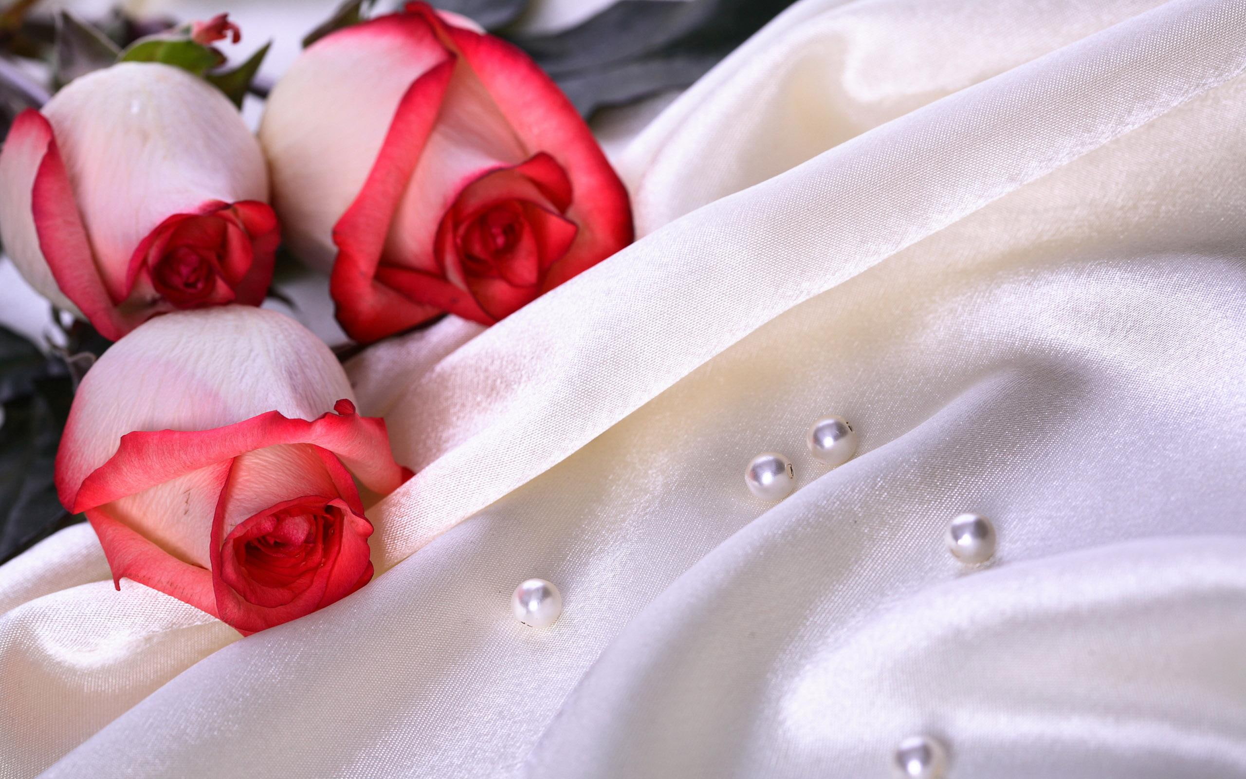 love, wedding background, background, 2K, wedding, HD Wallpaper