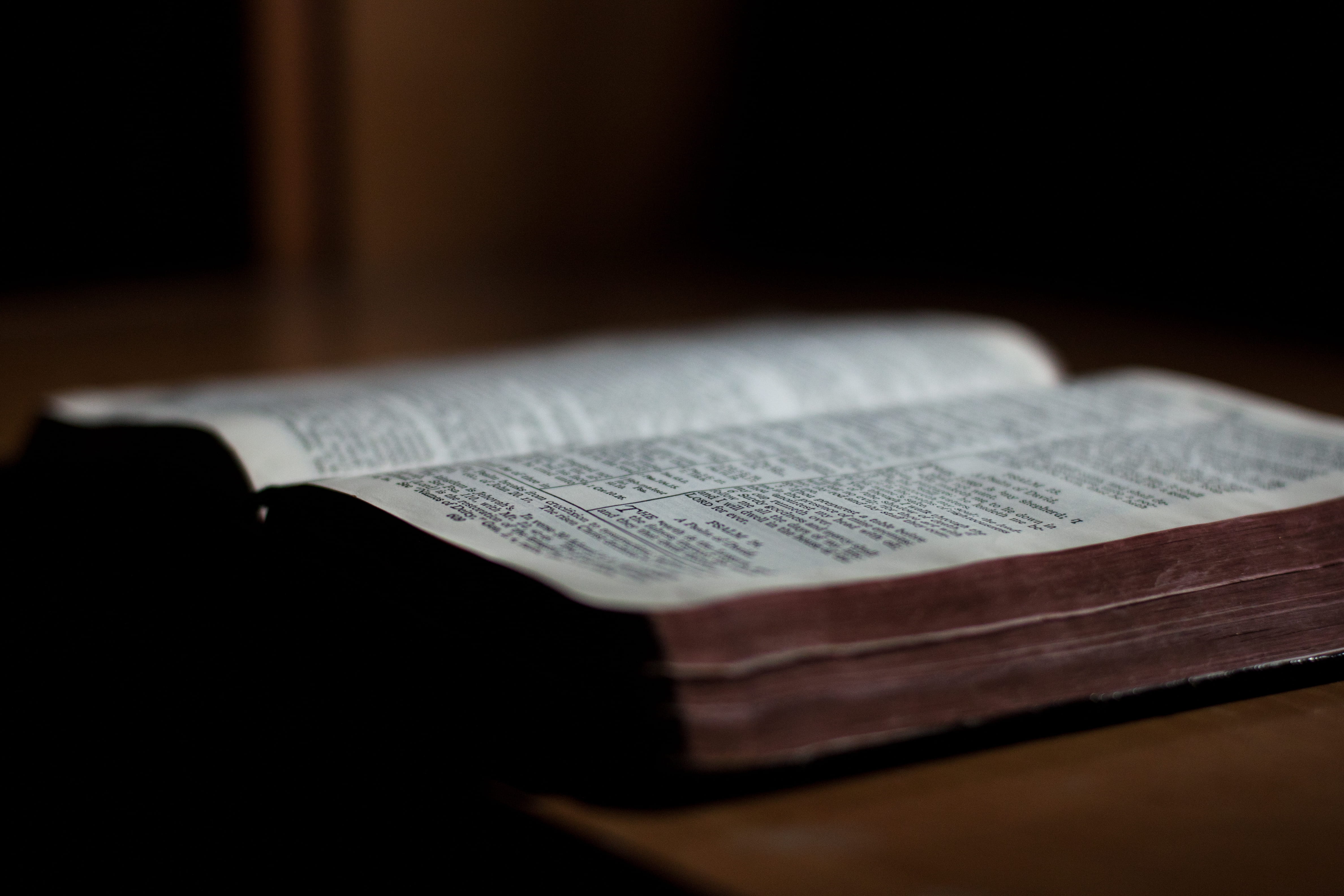 4K, surface, book, lviv, table, publication, brown, photography, religion, ukraine, photo, selective focus, license, open, belief, id cards, text, the bible, HD Wallpaper