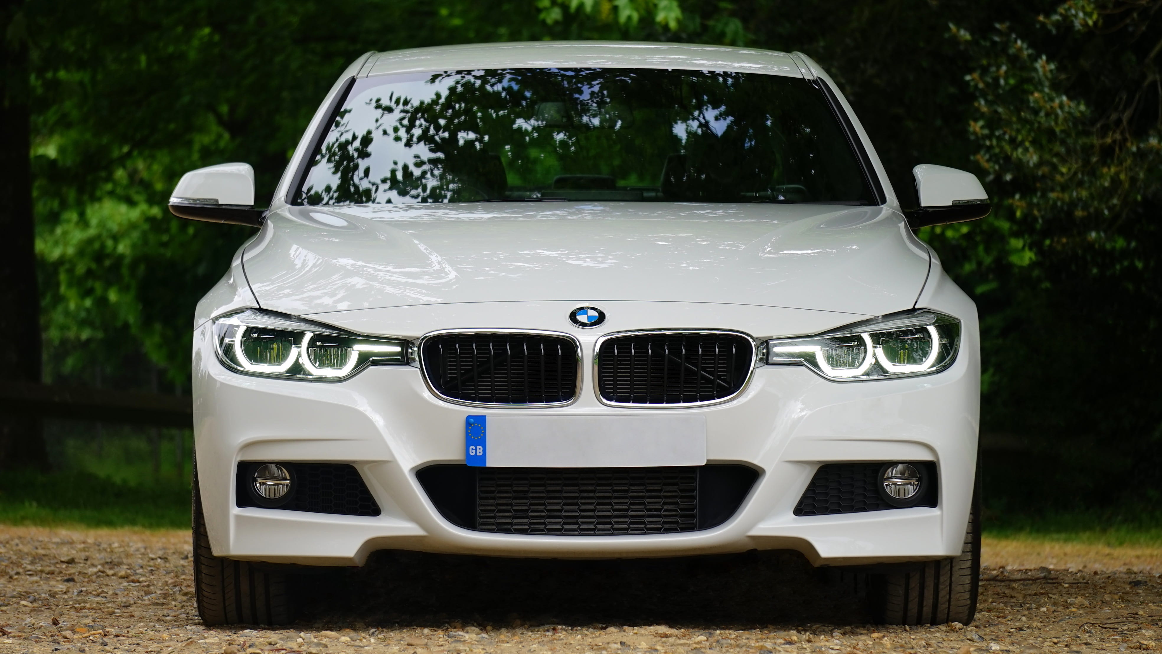 automobile, headlight, reflection, white, outdoors, transportation, no people, bmw, bumper, metal, land vehicle, chrome, luxury, motor vehicle, tree, retro styled, HD Wallpaper