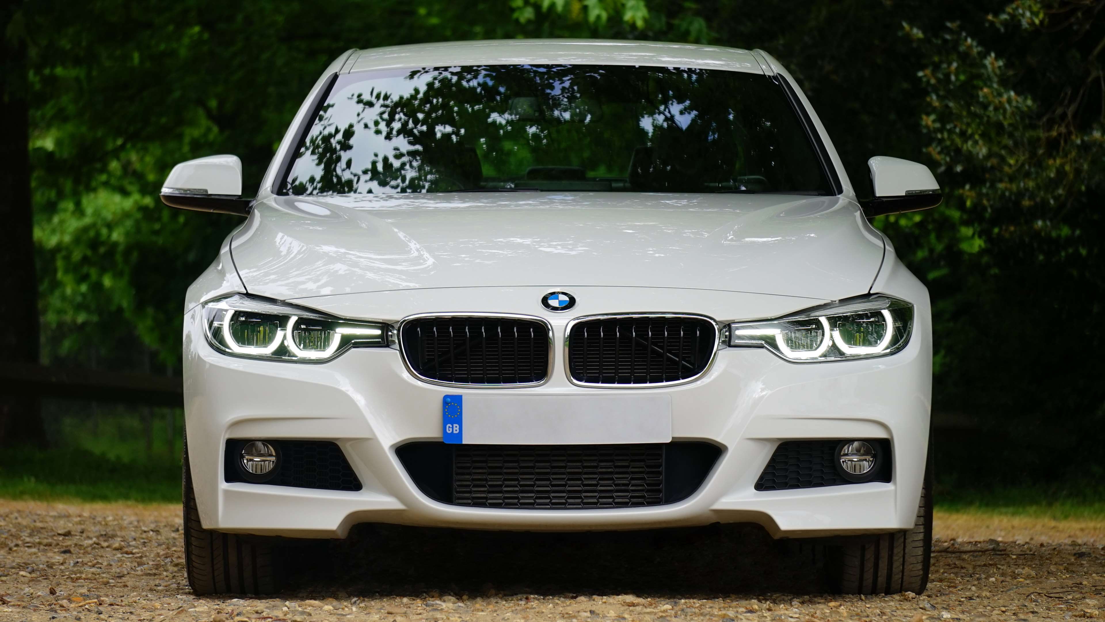 headlamps, white, vehicle, automobile, bmw, mode of transportation, headlight, day, retro styled, license plate, motor vehicle, plant, side mirrors, outdoors, HD Wallpaper