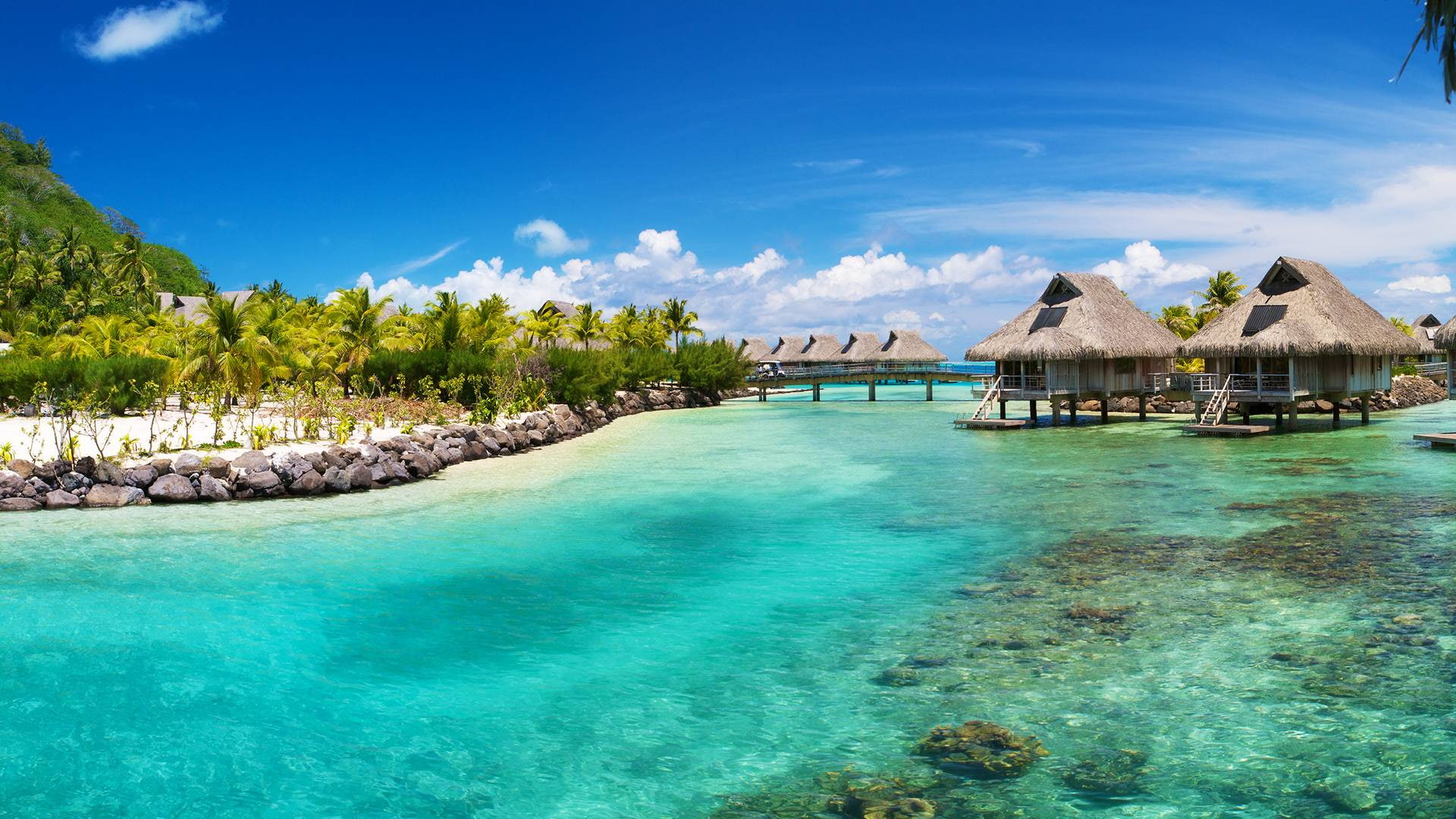hut, ocean, hd, 1080P, tropical, nature, brown, hotel, resort, beach, near, nipa, floating, HD Wallpaper