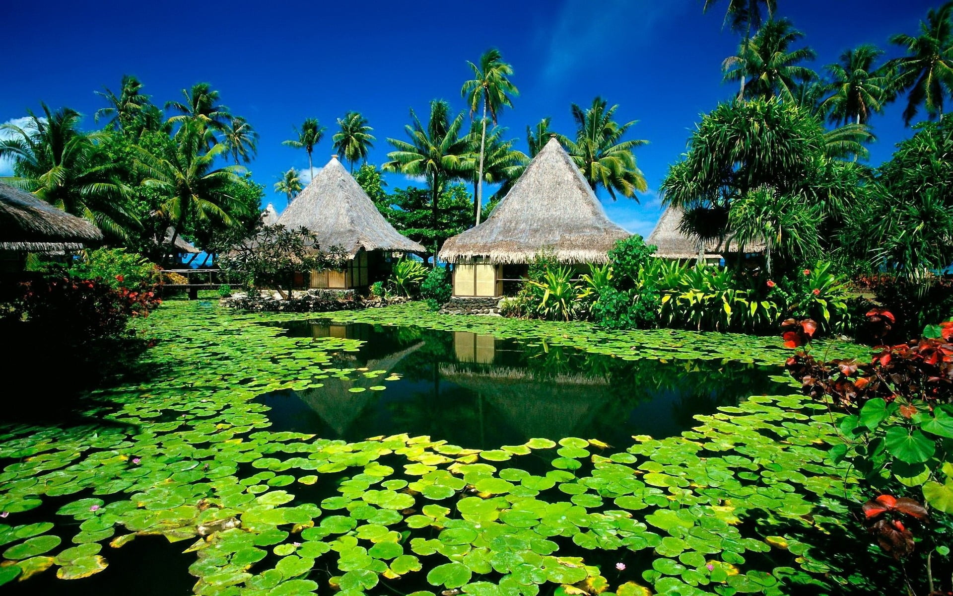 no people, outdoors, famous Place, nature, house, tropical Climate, island, roof, water, palm trees, exoticism, idyllic, scenics, built structure, huts, HD Wallpaper
