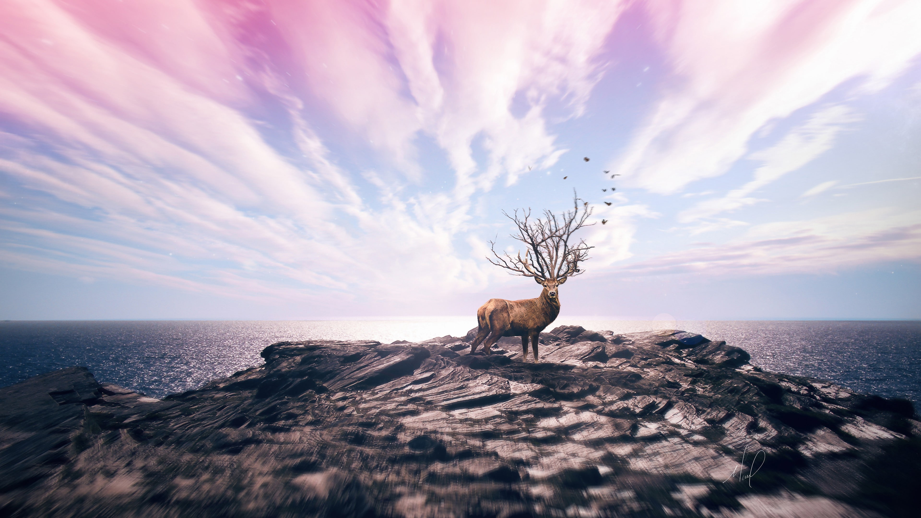 4K, deer, HD, fantsy, 4k, 8k, cliff, HD Wallpaper