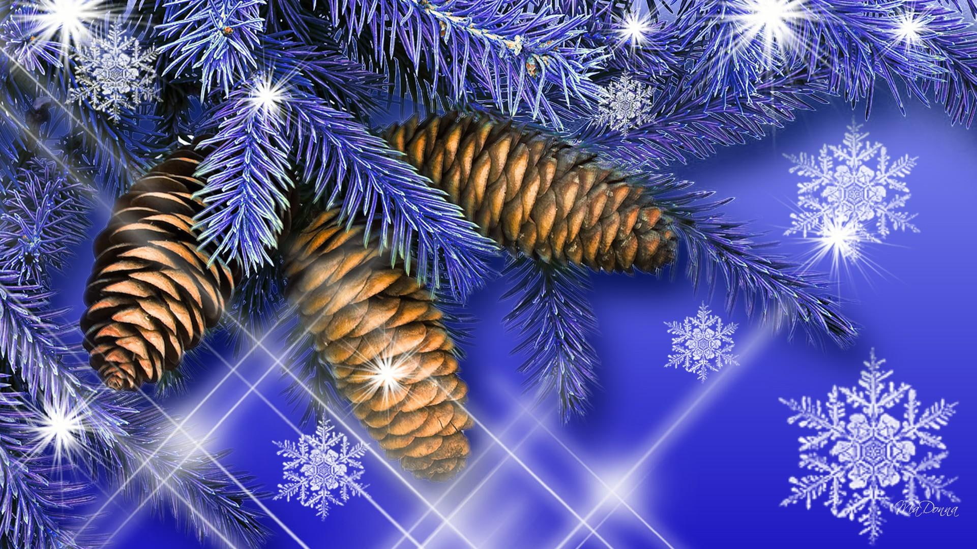 1080P, season, bright, blue, cones, winter, snowflakes, firefox persona, 3d and abs, sparkle, stars, christmas, purple, HD Wallpaper