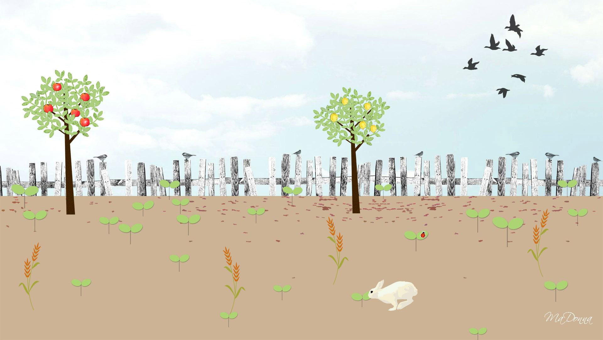 growing, birds, lemon tree, 1080P, 3d and abs, plants, garden, orange tree, bunny rabbit, abstract, firefox persona, fence, HD Wallpaper