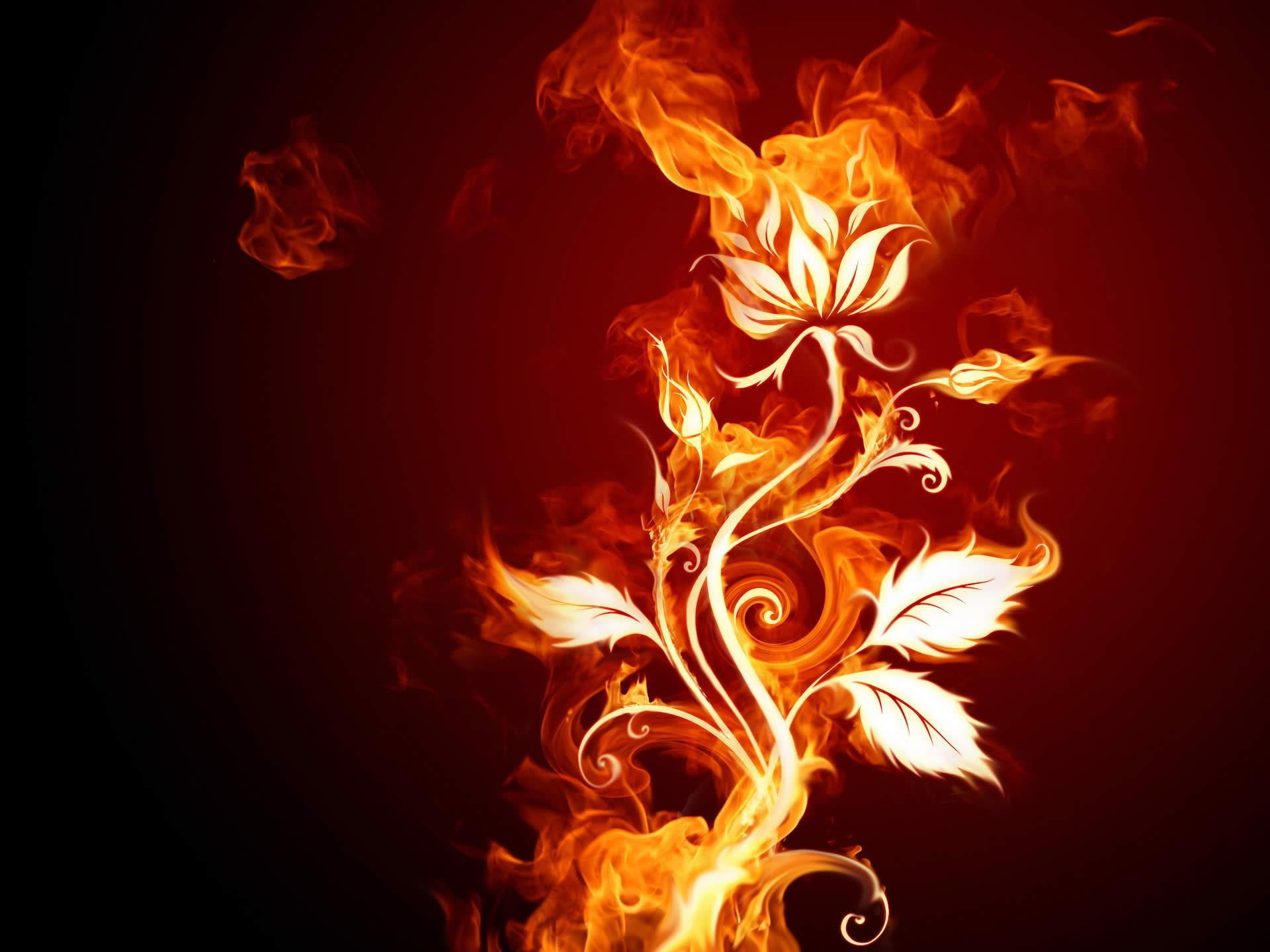 3d and abstract, 1080P, rose, plant, fire, HD Wallpaper
