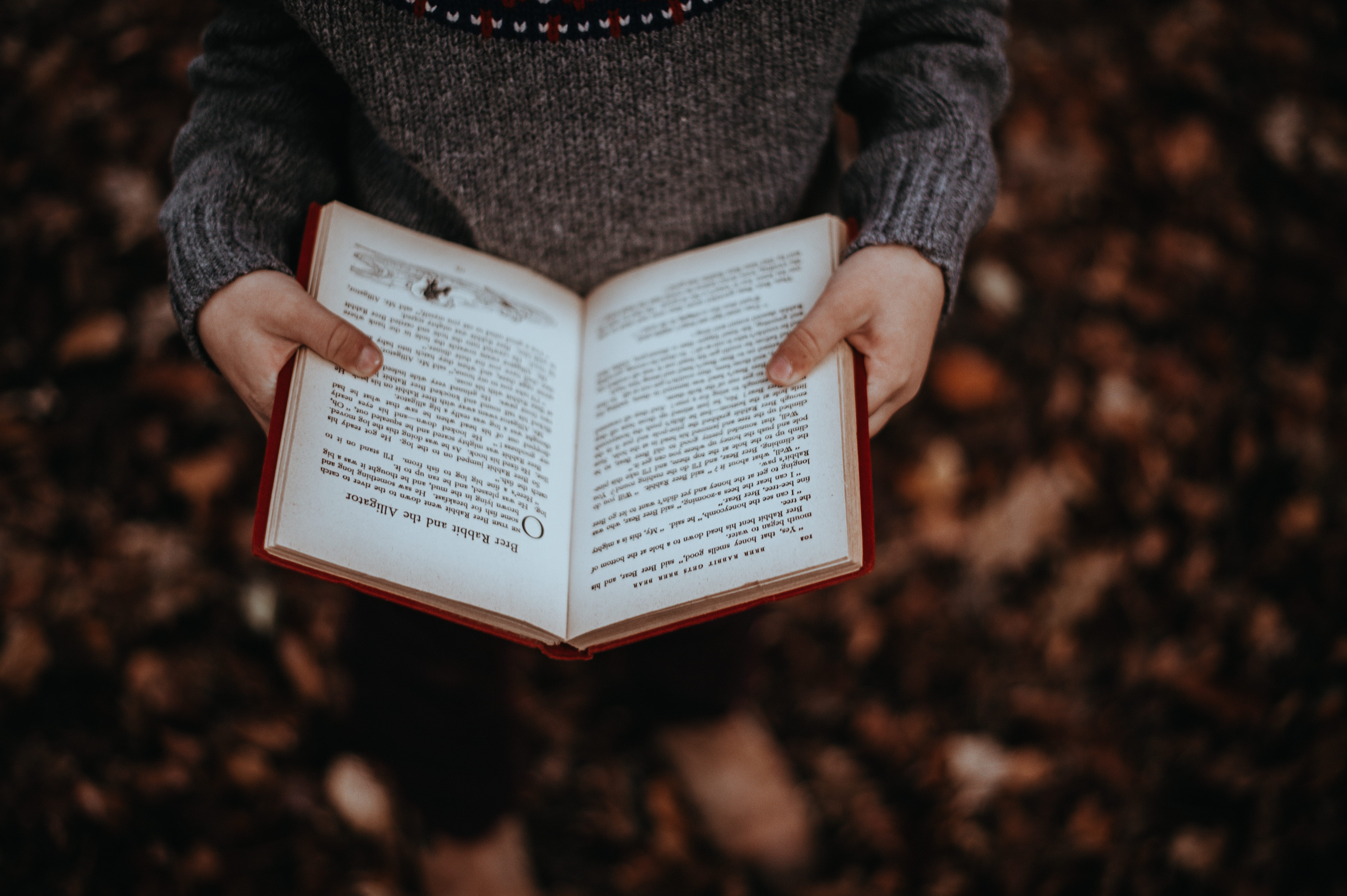 hands, person, studying, communication, front view, holding, activity, focus on foreground, paper, learning, sweater, forest, hand, one person, 4K, woodland, HD Wallpaper