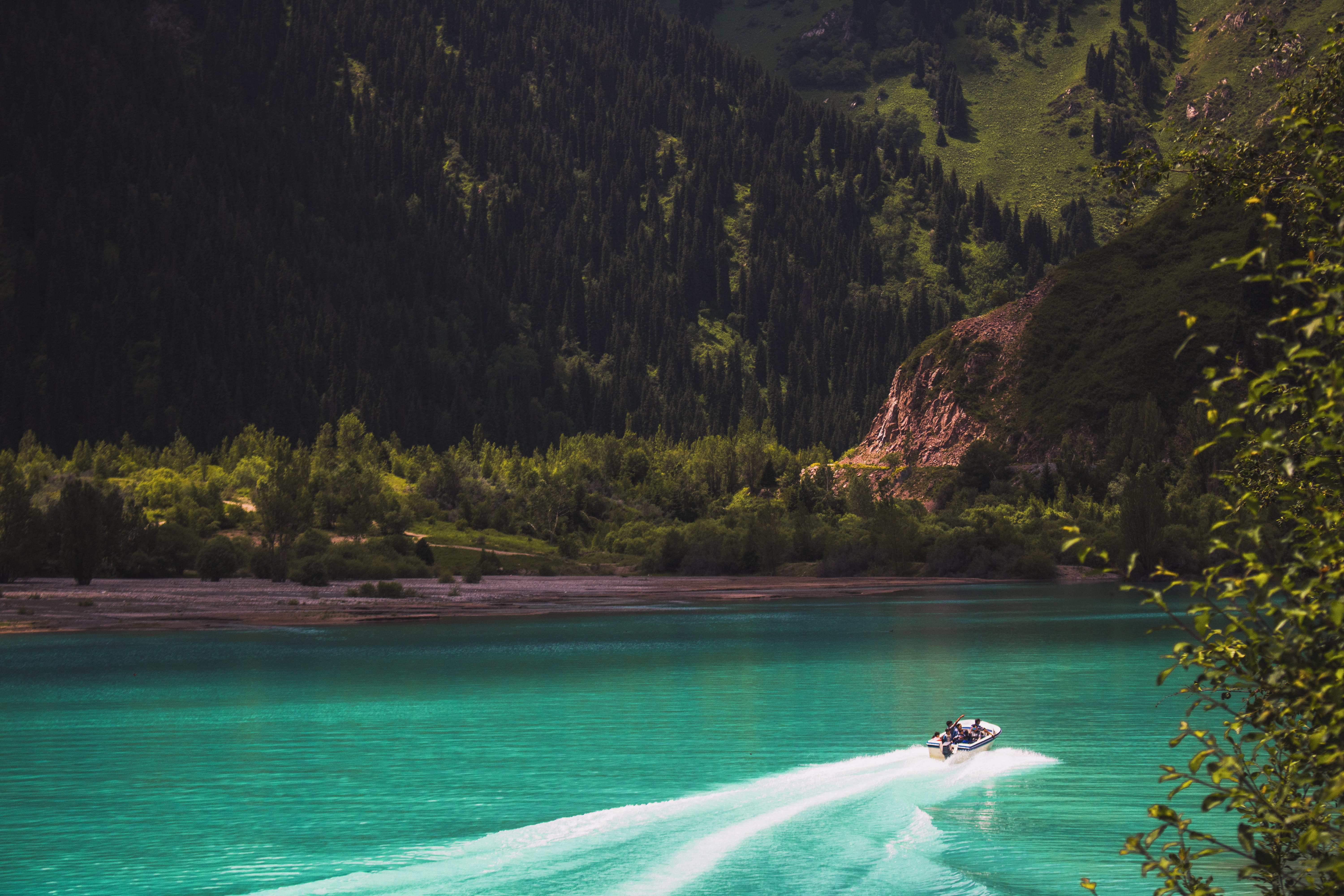 transportation, nautical vessel, mode of transportation, speed, seashore, scenic, summer, lifestyles, turquoise, green, tree, idyllic, white, outdoors, HD Wallpaper