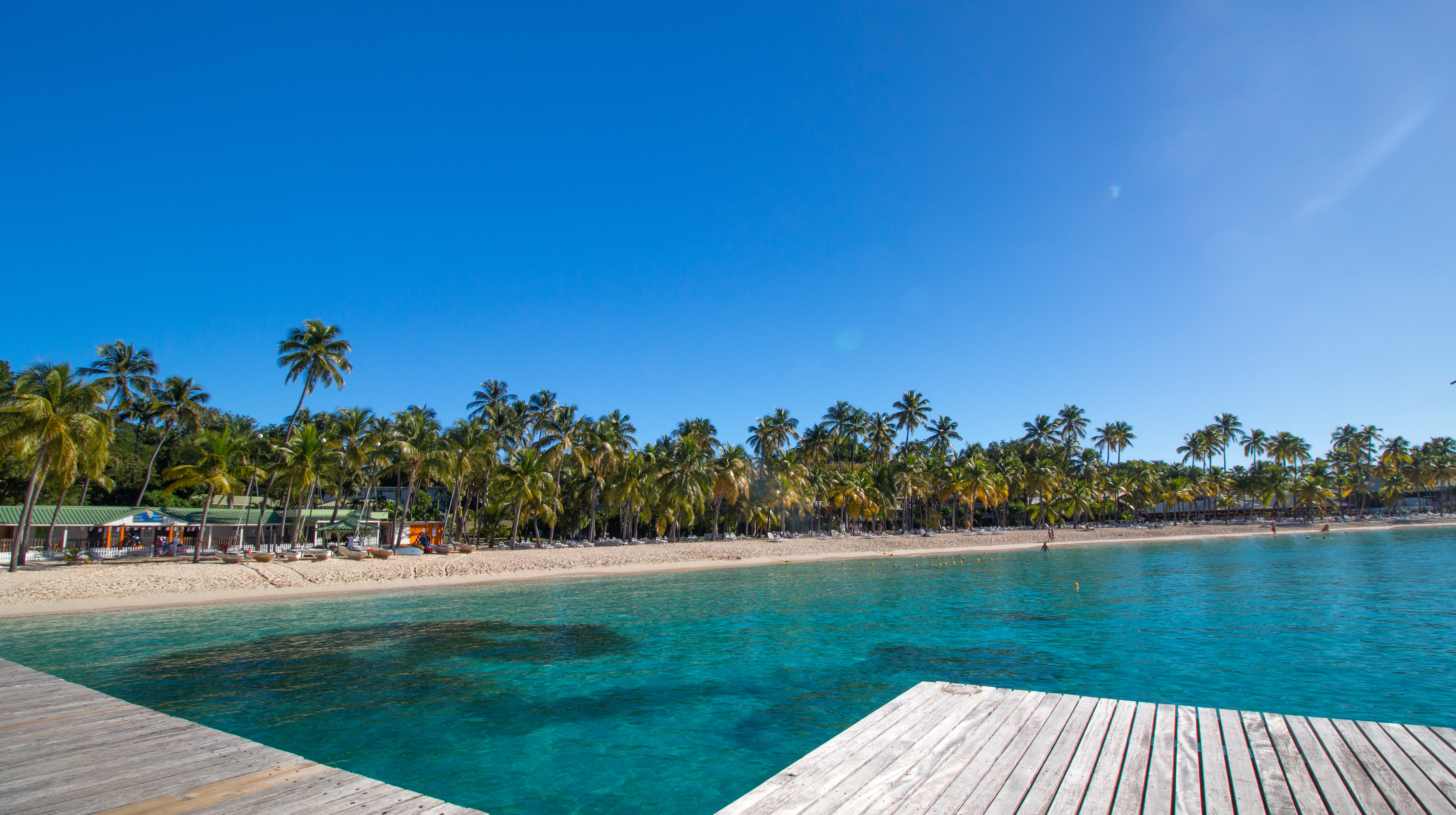 tranquil scene, blue, pool, nature, club med la caravelle, tropical tree, outdoors, palm tree, clubmed, tranquility, sun, sky, caribbean, sand, plamtrees, HD Wallpaper