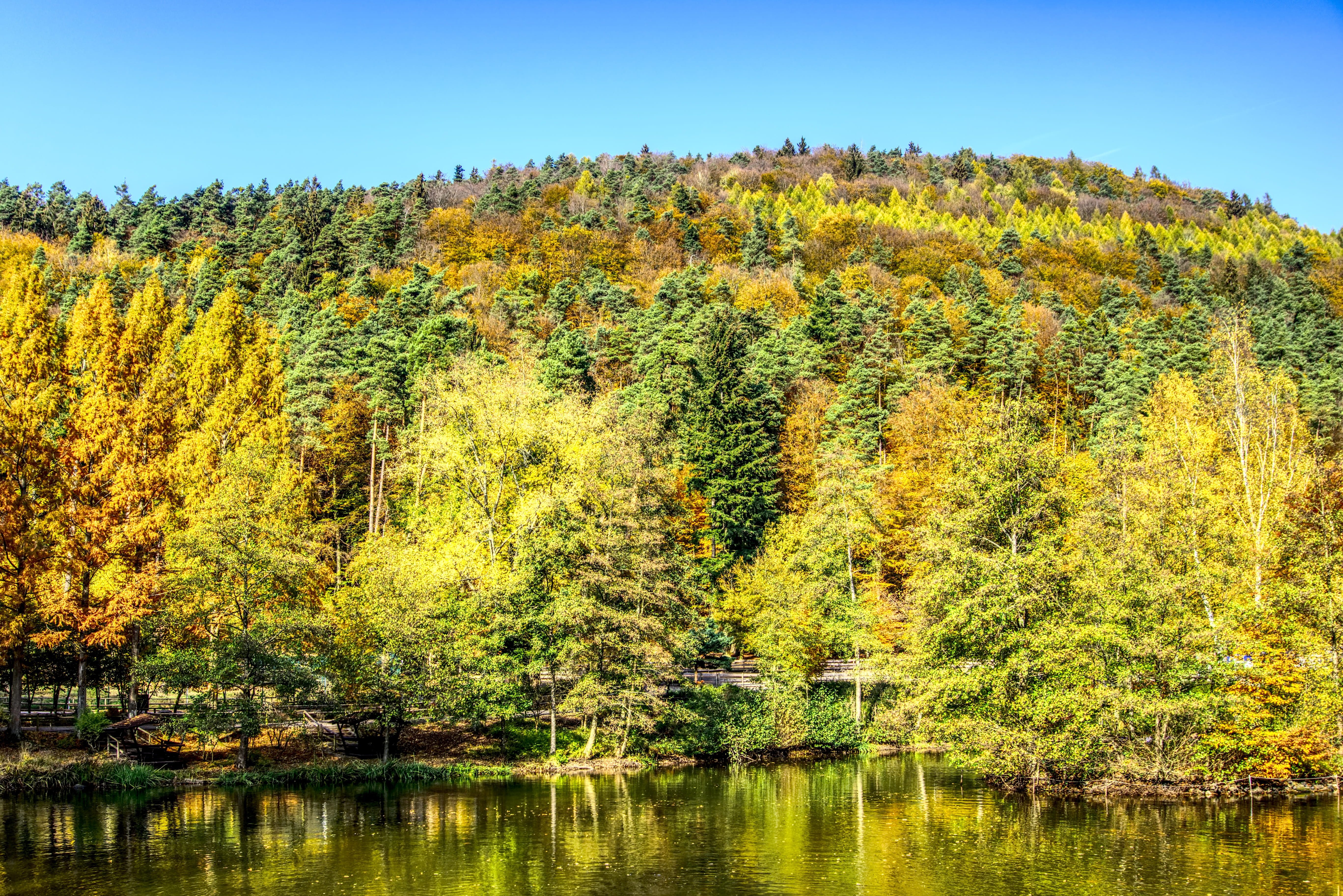 hdr, change, lake, emerge, idyllic, woodland, mirroring, autumn colours, autumn mood, coniferous tree, growth, fall color, water, trees, green color, autumn, HD Wallpaper