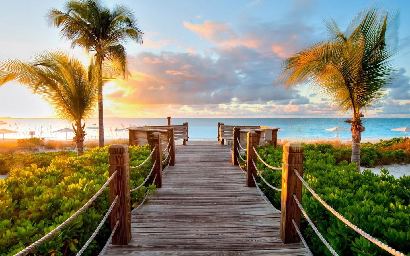 no people, water, tree, land, sky, 720P, palm trees, outdoors, travel destinations, sea, tropical tree, tranquility, coconut palm tree, tranquil scene, HD Wallpaper