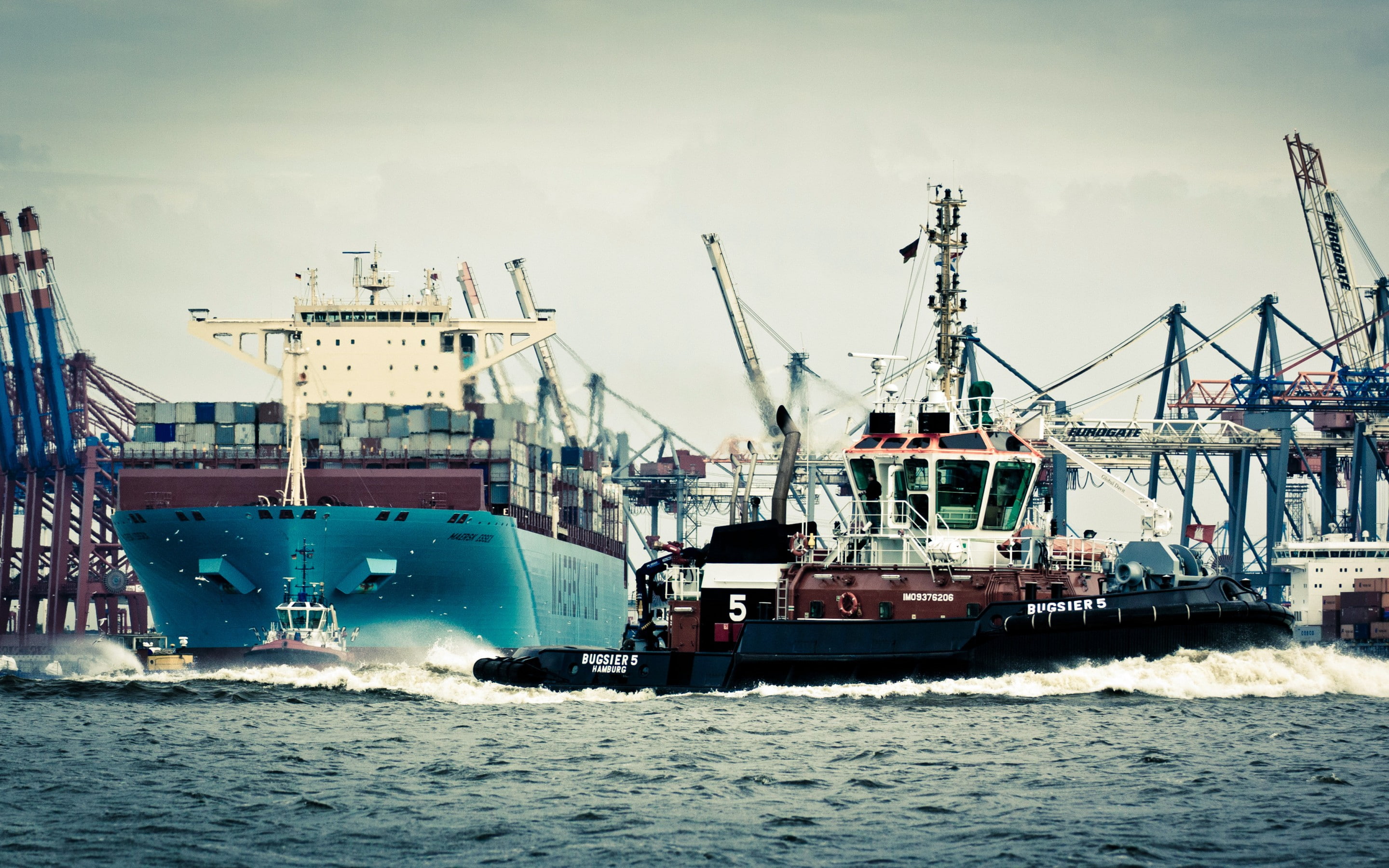 seagulls, germany, birds, line, essex, housing, maersk, water, ship, tug, board, 2K, sea, tank, port, hamburg, cranes, waste, HD Wallpaper