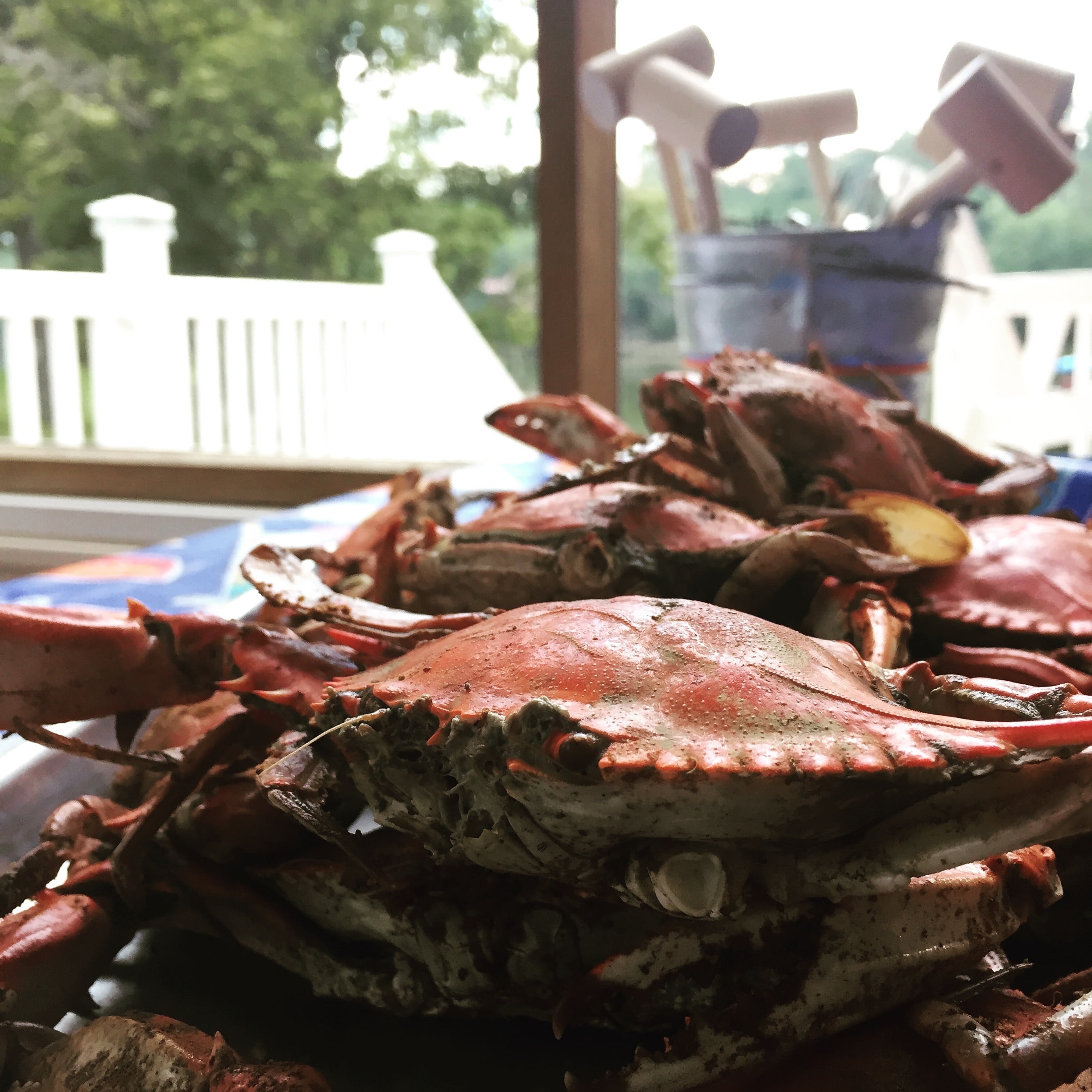 fishing industry, seafood, close-up, food and drink, dinner, freshness, crab, cooked, meat, fish, food, retail, day, healthy eating, sea, chesapeake bay, Phone HD Wallpaper