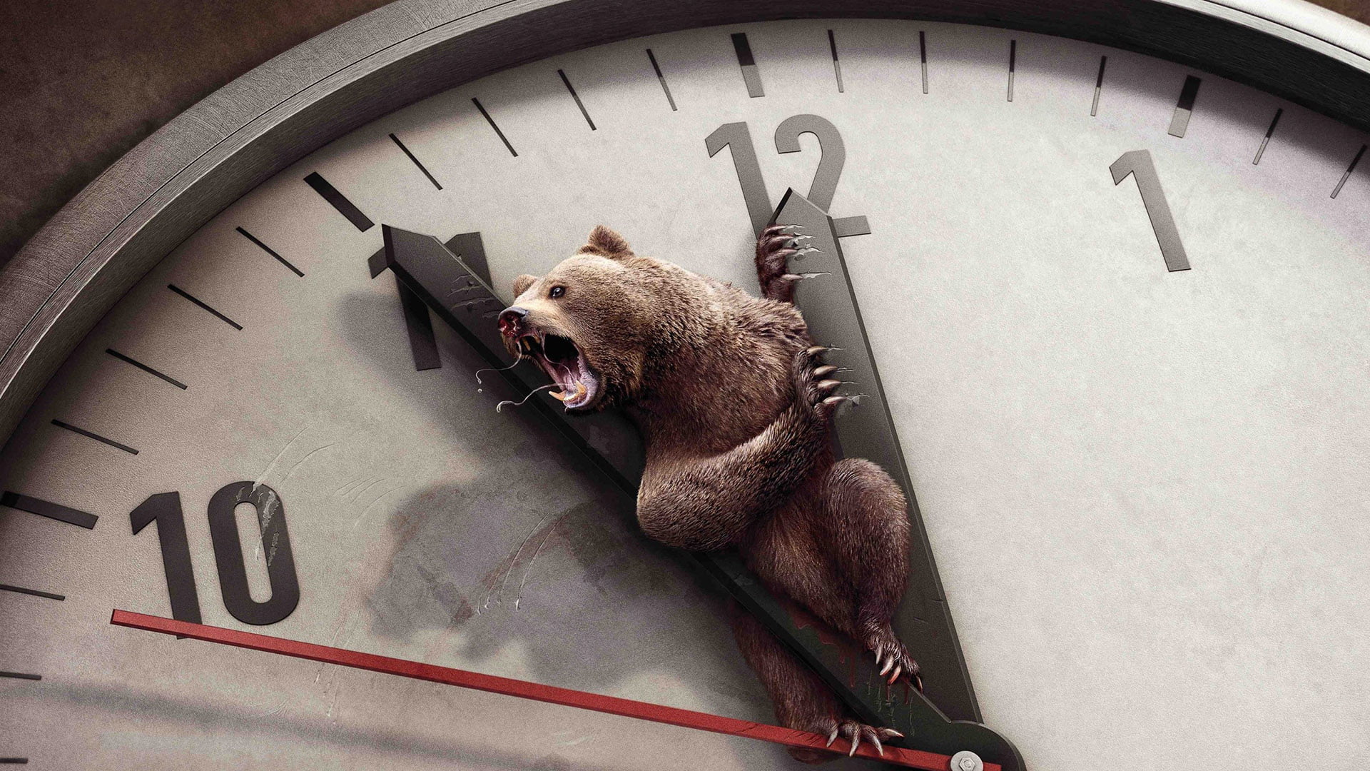 number, chesapeake bay retriever, mouth, communication, deadline, mouth open, clock, vertebrate, 1080P, hunting dog, animal wildlife, wall clock, dog, HD Wallpaper
