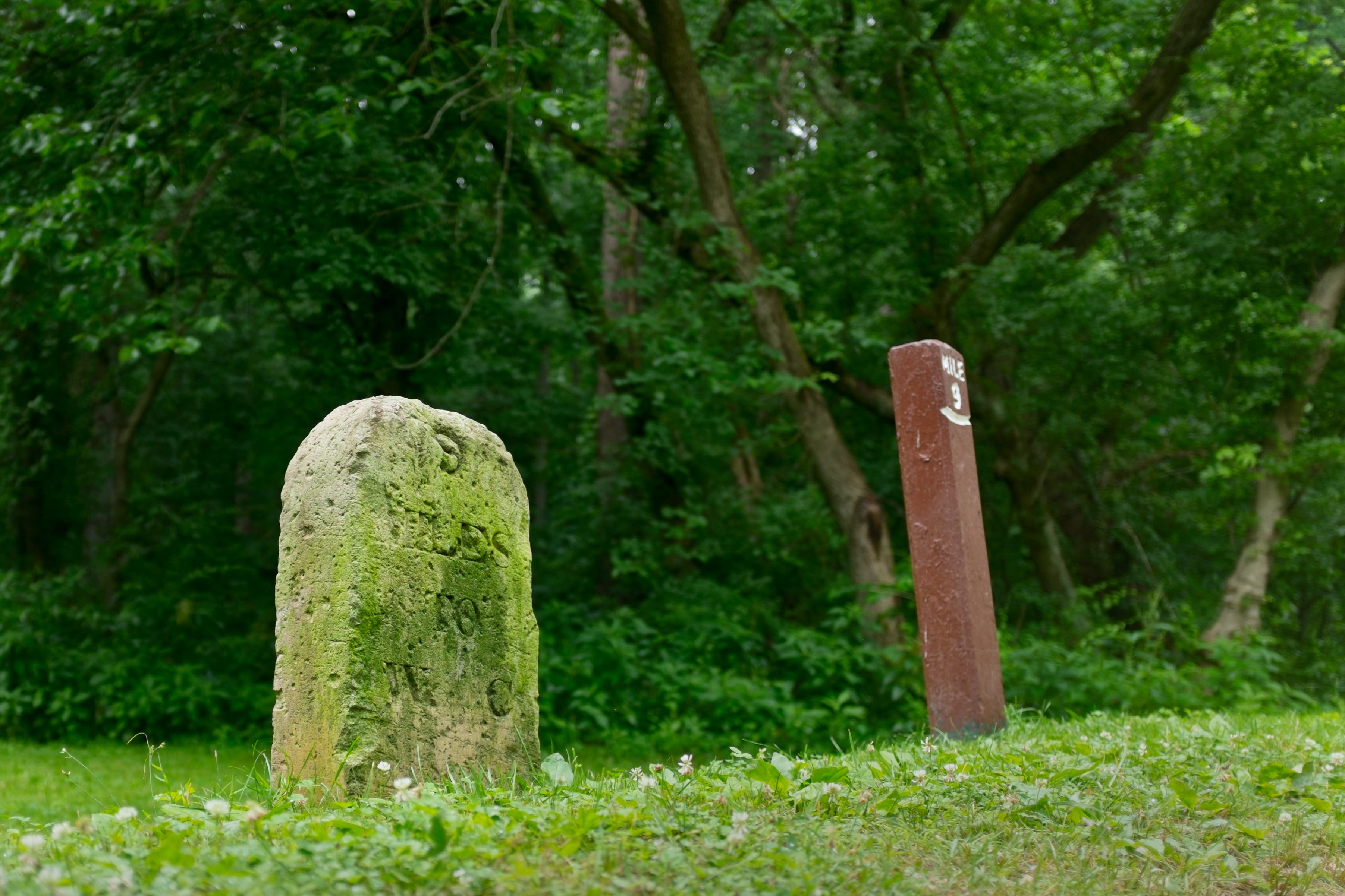 religion, green color, direction, green, symbol, travel, route, tranquility, nature, tree, kilometer, chesapeake, distance, ohio, grave, history, old, stone, HD Wallpaper