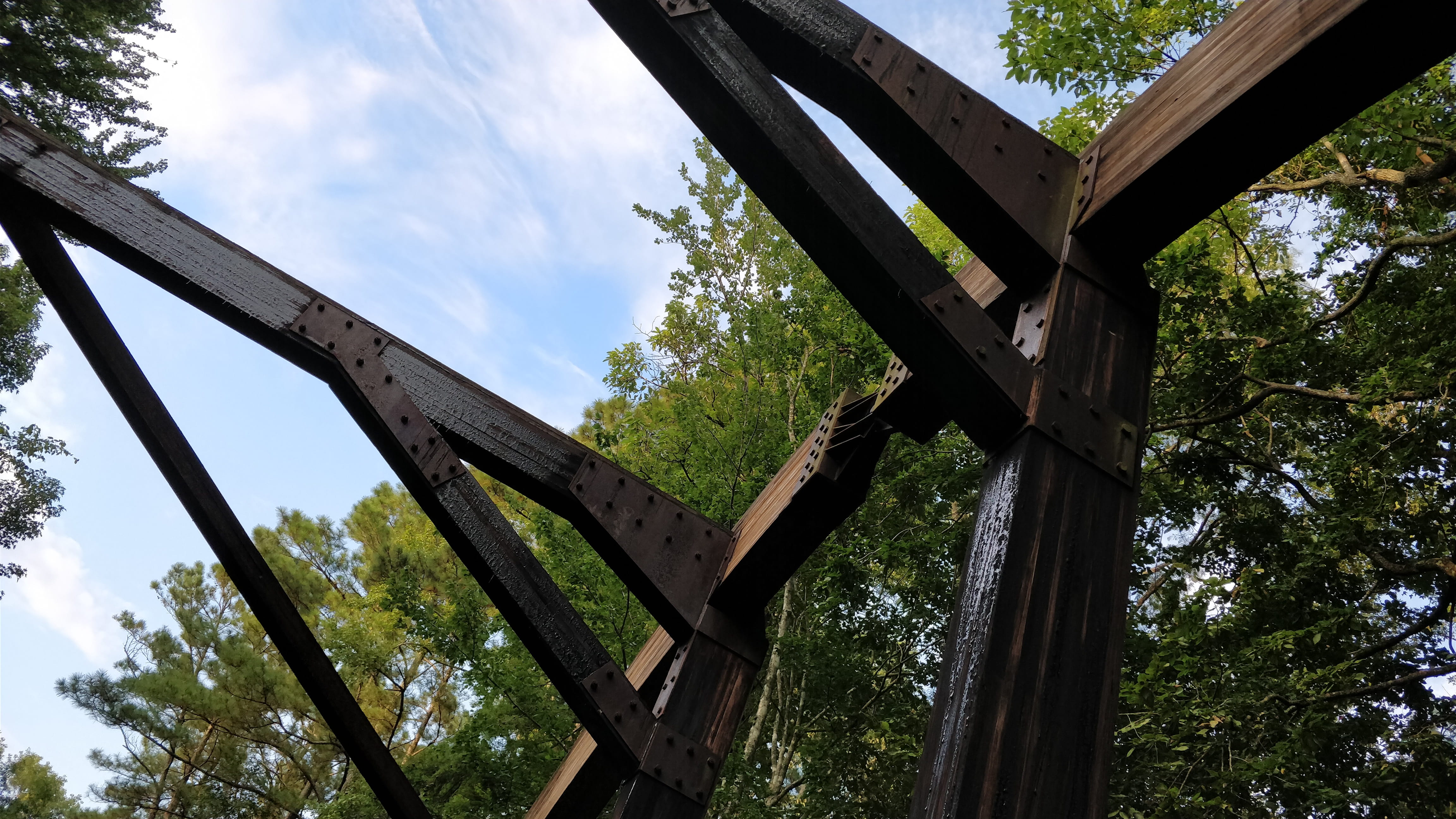 no people, pleasant grove west, connection, low angle view, tree, bridge - man made structure, girder, architecture, green color, chesapeake, sky, cloud - sky, HD Wallpaper