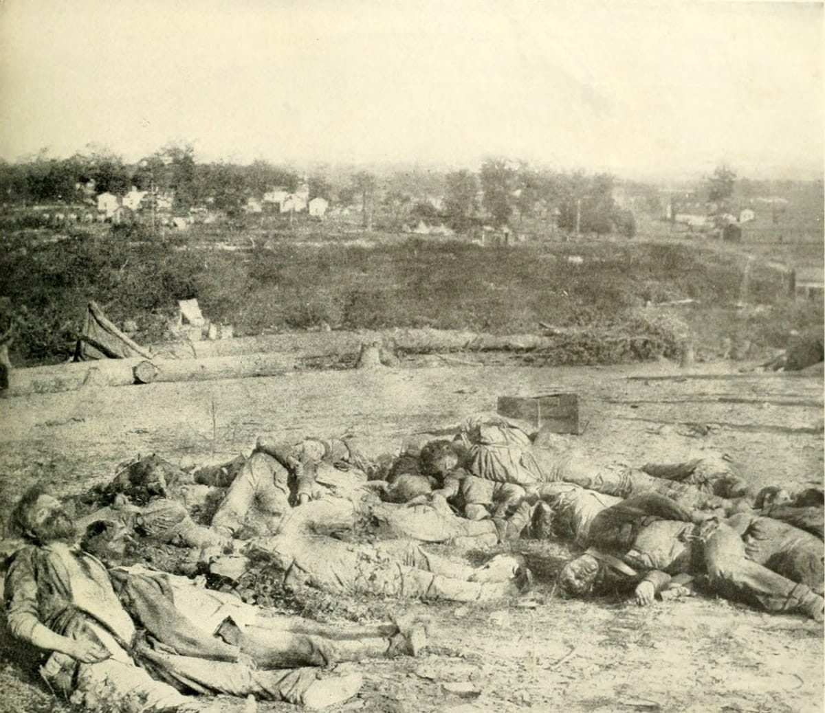 animals in the wild, Casualties, photos, black And White, nature, corinth, outdoors, mammal, time, vintage, visual Art, Battle of Corinth, public domain, HD Wallpaper