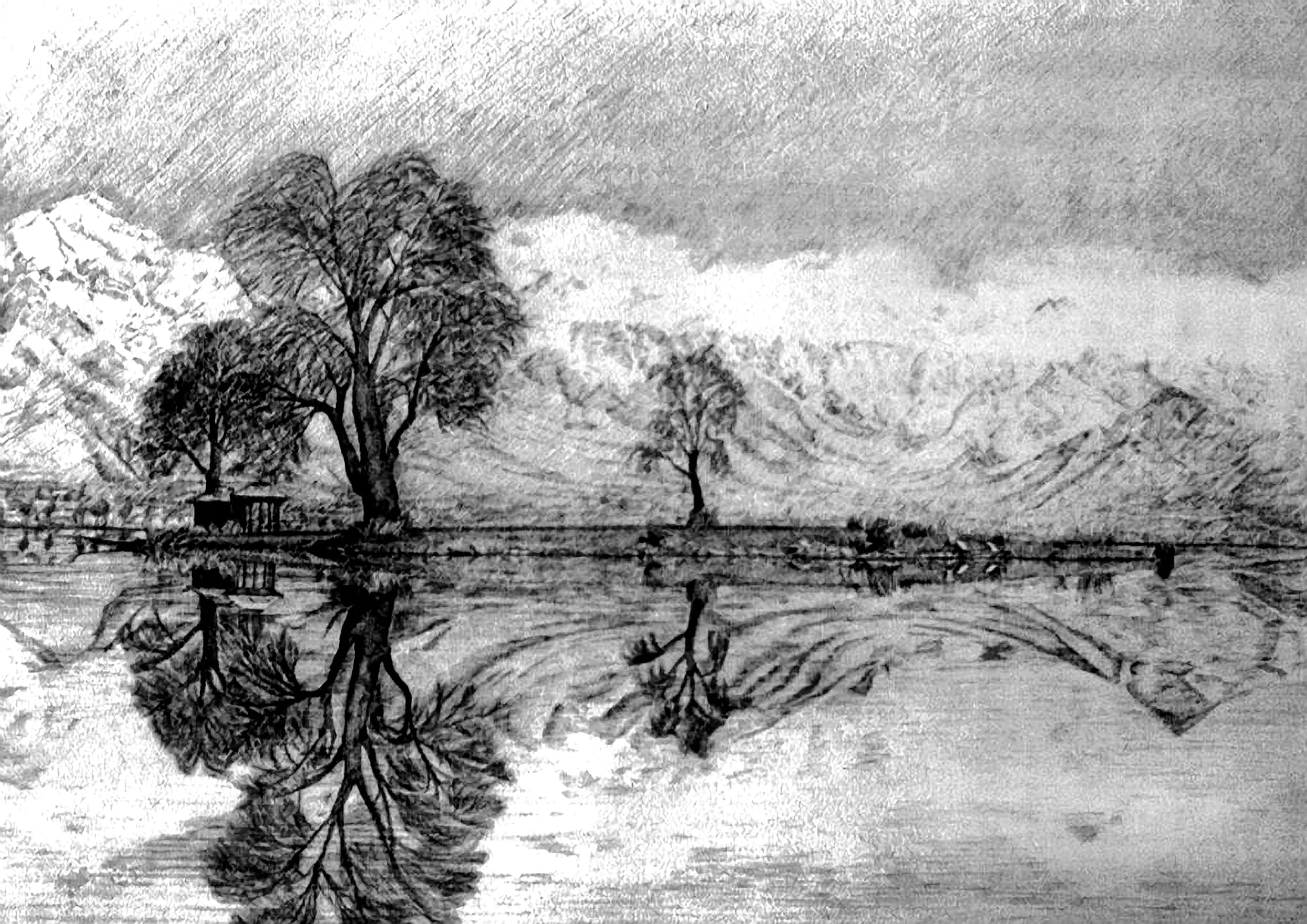 obsolete, land, engraved Image, drawing - Art Product, 1080P, tranquil scene, branch, lake, arts And Entertainment, plant, isolated On White, dal, concepts And Ideas, HD Wallpaper