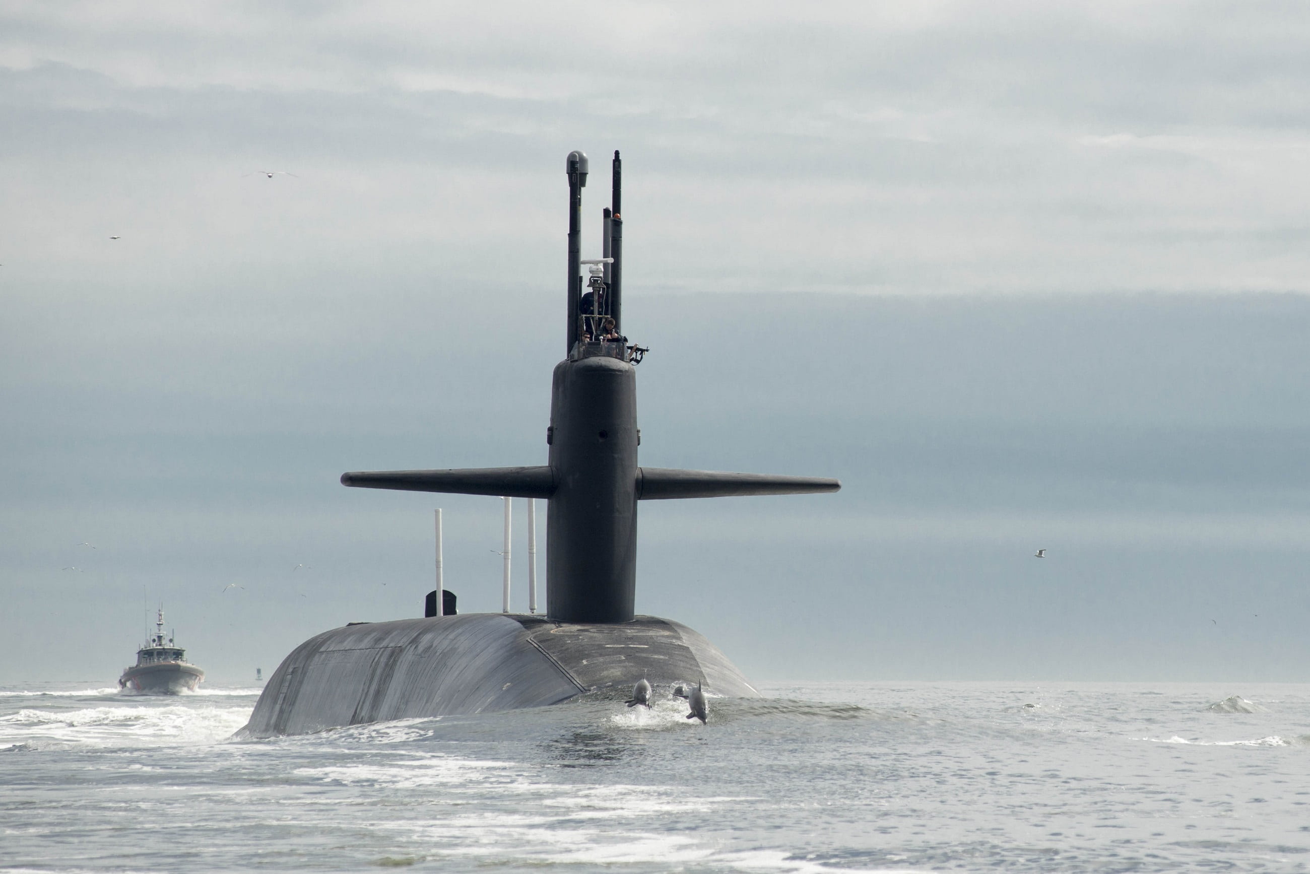 surface, sea, day, no people, ship, water, nautical, cloud - sky, 2K, photo, group of animals, animal, submarine, sailing, deployed, navy, transportation, HD Wallpaper
