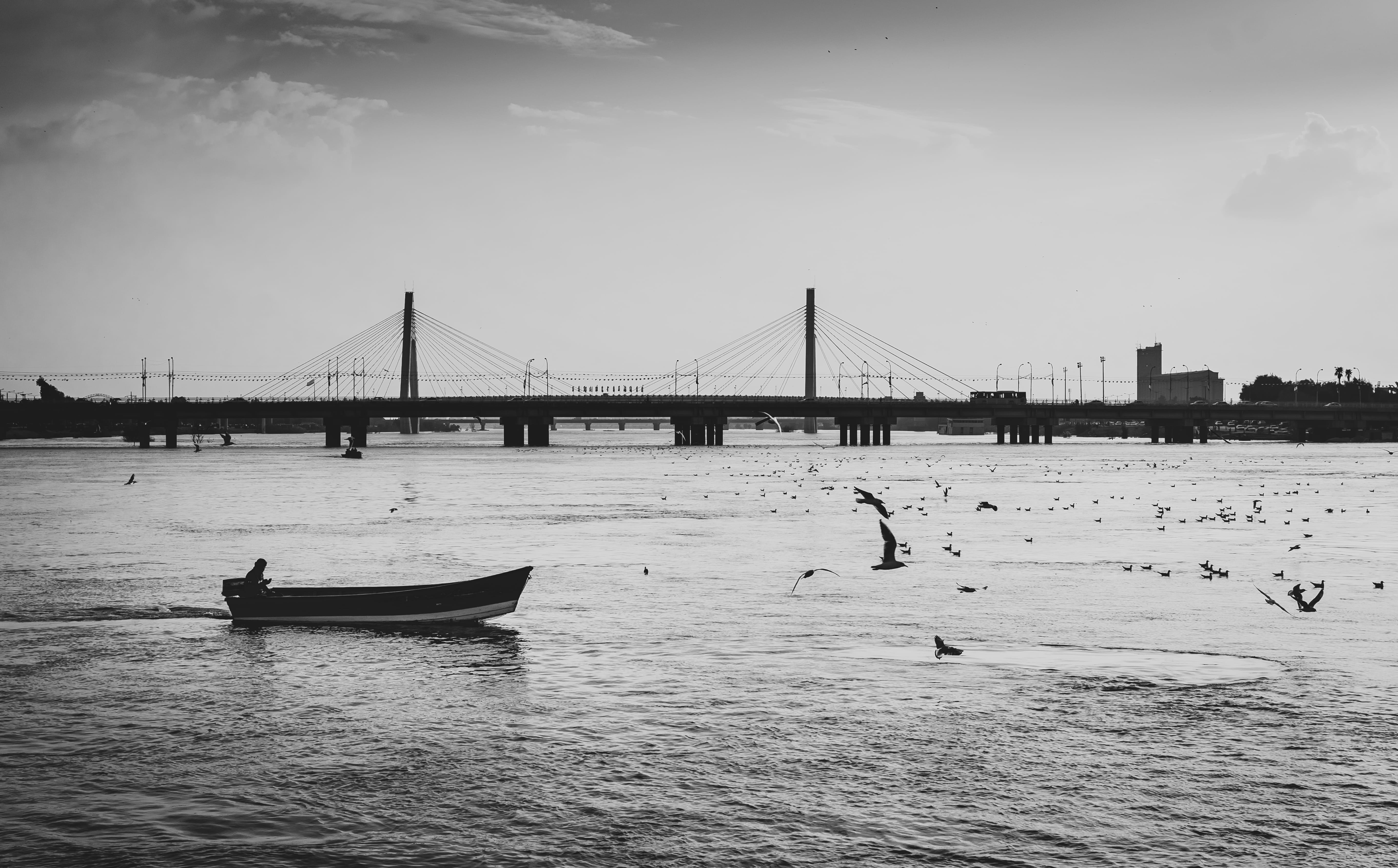 water, outdoors, vessel, built structure, iran, seagulls, near, pier, nautical vessel, watercraft, birds, seagull, grayscale, flying, travel destinations, HD Wallpaper