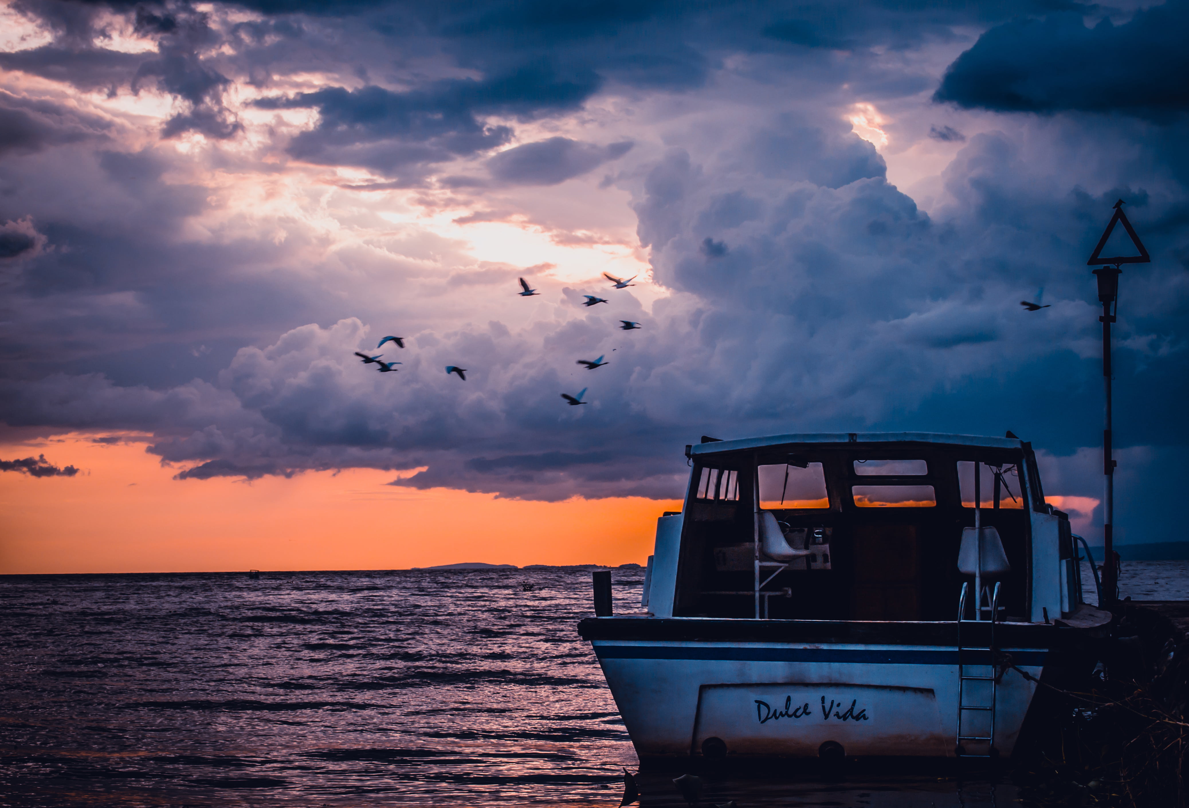 ocean, animal, motorboat, sailboat, nature, clouds, fishing, scenics - nature, no people, sky, bird, dusk, dolce vida, white, cloudy, orange color, vertebrate, HD Wallpaper