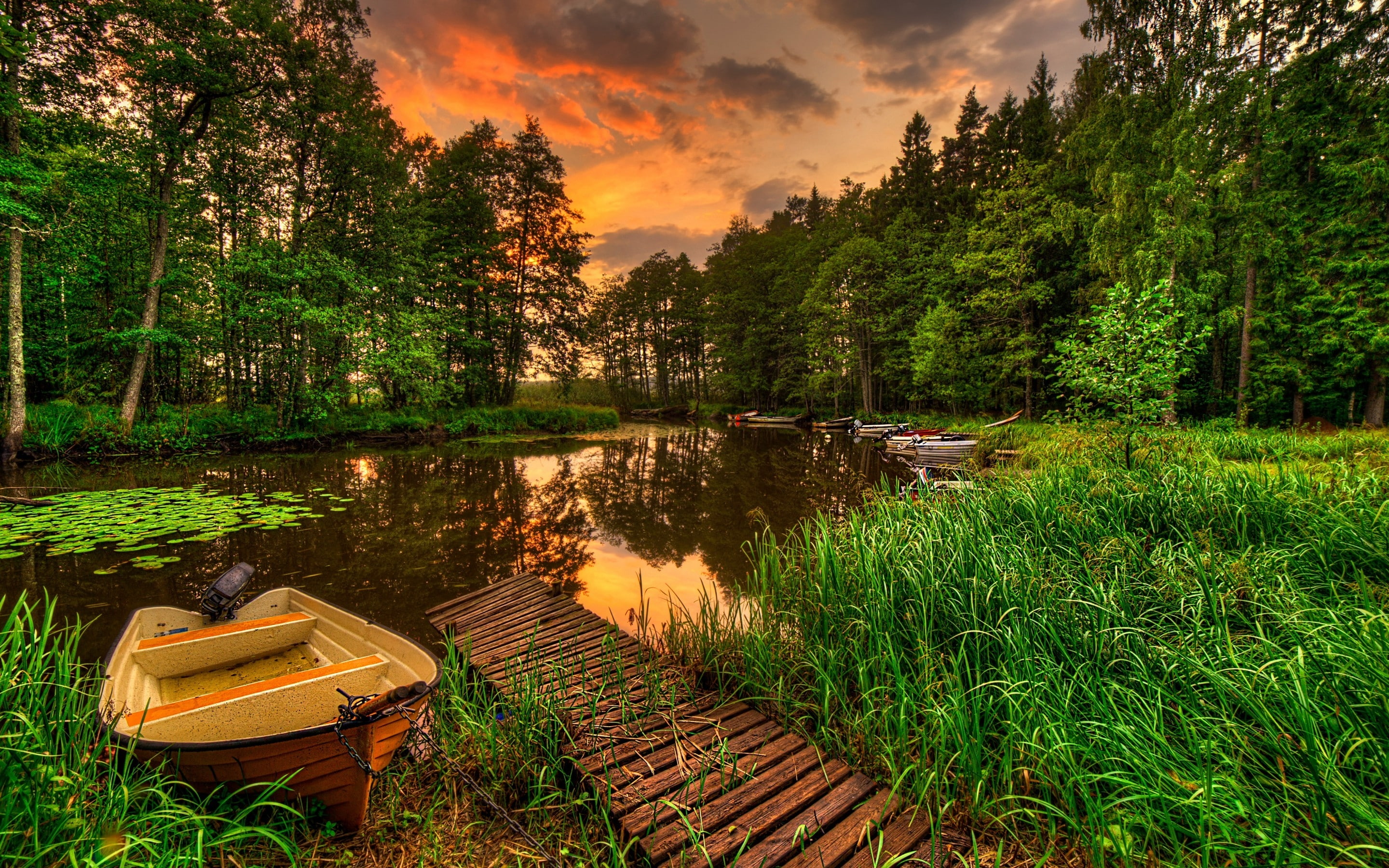 brown, 2K, sunset, forest, reflection, motorboat, landscape, lake, hdr, HD Wallpaper