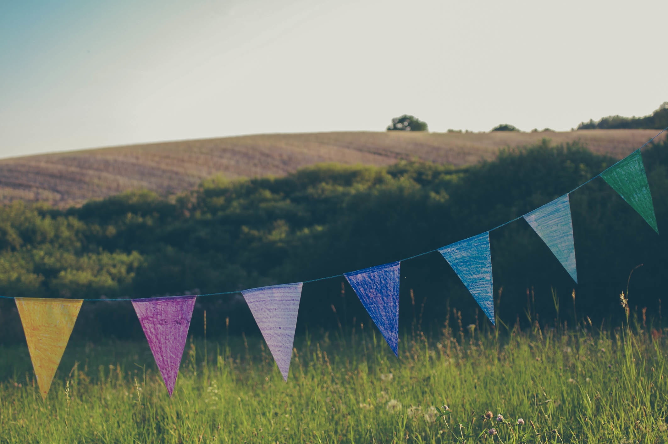 tranquil scene, trees, nature, scenics - nature, buntings, beauty in nature, clear, outdoors, colours, field, plant, photo, rural, multicolored, no people, HD Wallpaper