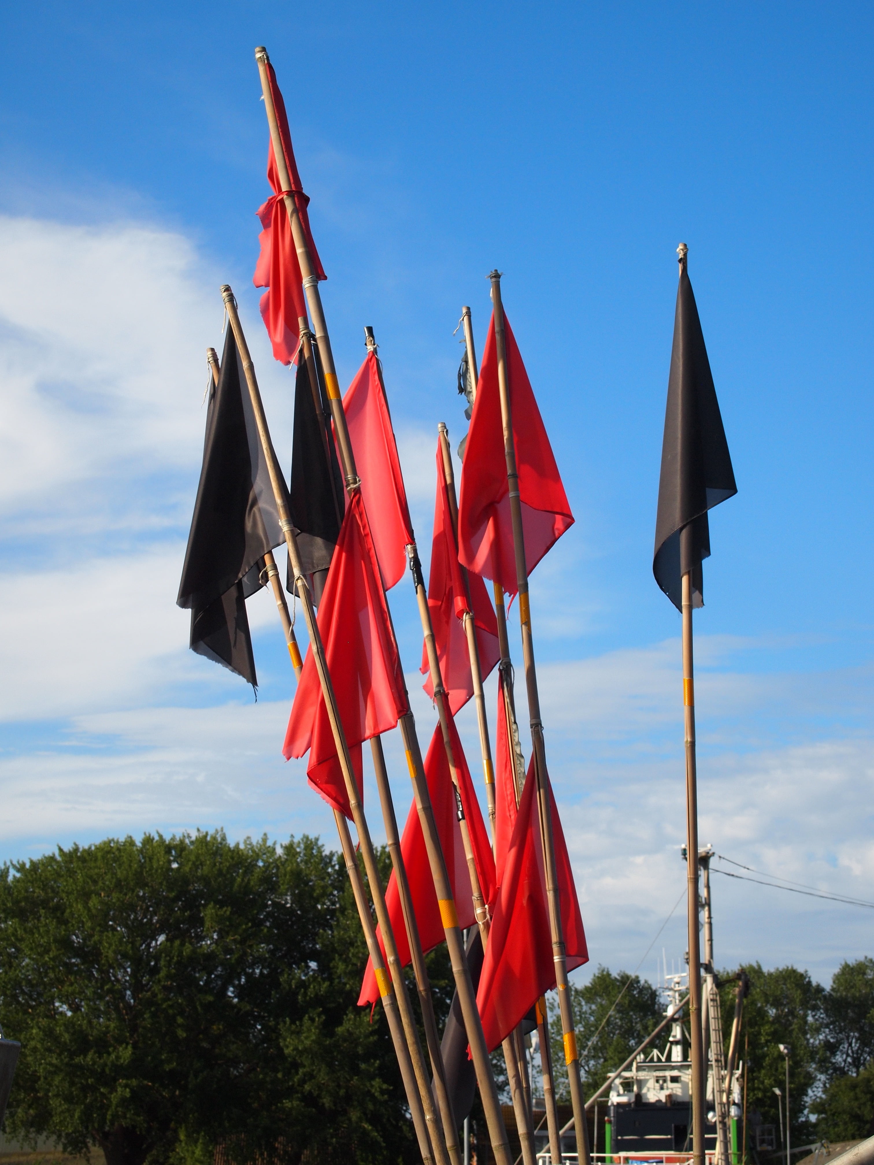 gillnet, multi colored, black, flags, marina, red, flag, tree, reuse, variation, in a row, choice, growth, fishing pennants, low angle view, port, cloud - sky, Phone HD Wallpaper