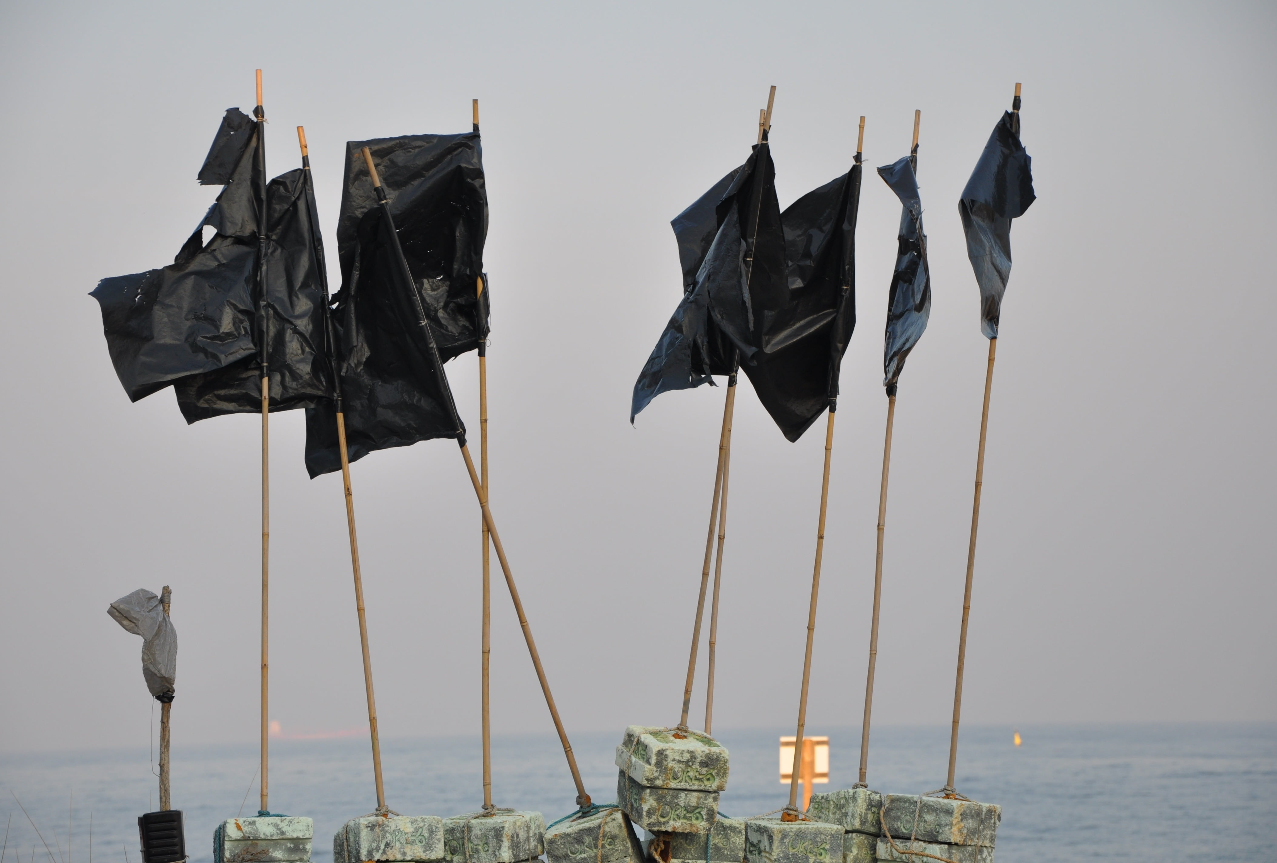 side by side, black, sea, pennants, waterfront, no people, flag, sky, travel, 4K, hanging, transportation, day, water, drying, nautical vessel, plant, HD Wallpaper