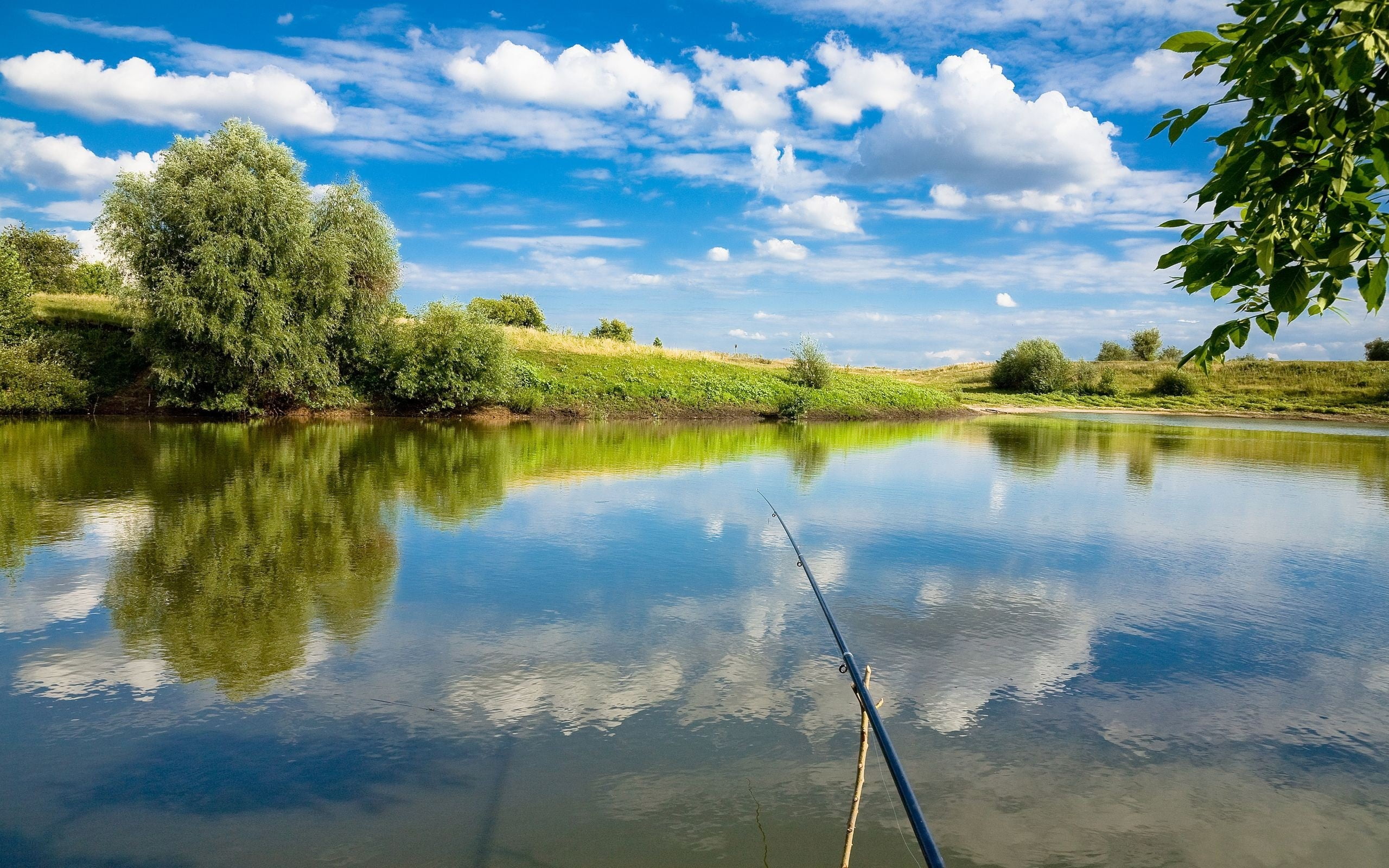 cloud - sky, growth, Fishing, non-urban scene, Lake, day, 2K, beauty in nature, reflection, water, Fishing tackle, green color, plant, sky, tree, nature, HD Wallpaper