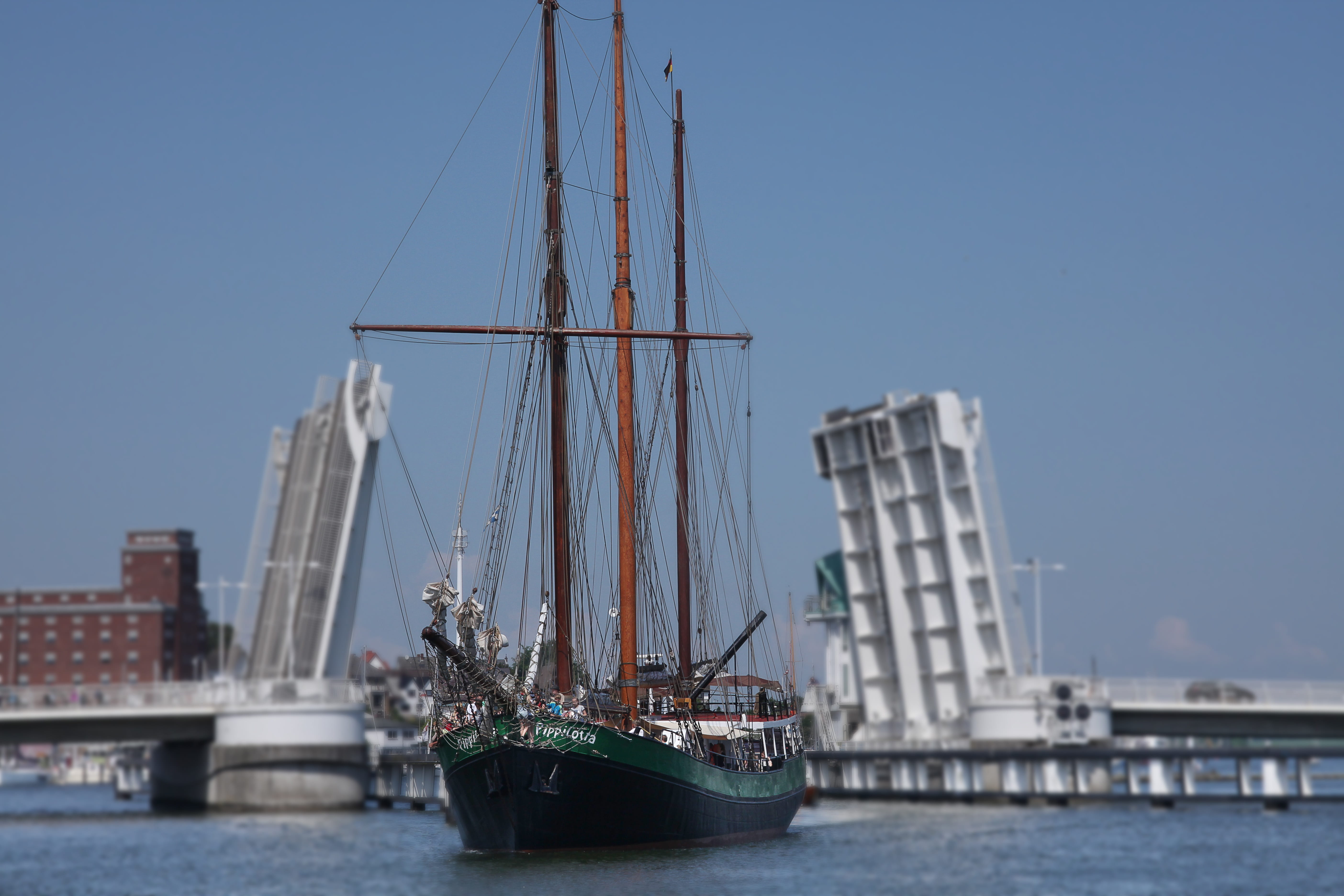 day, sky, passenger craft, fish, nautical vessel, home port, ship, waterfront, mecklenburg, pole, logger, baltic sea, transportation, schlei, travel, youth ship, HD Wallpaper
