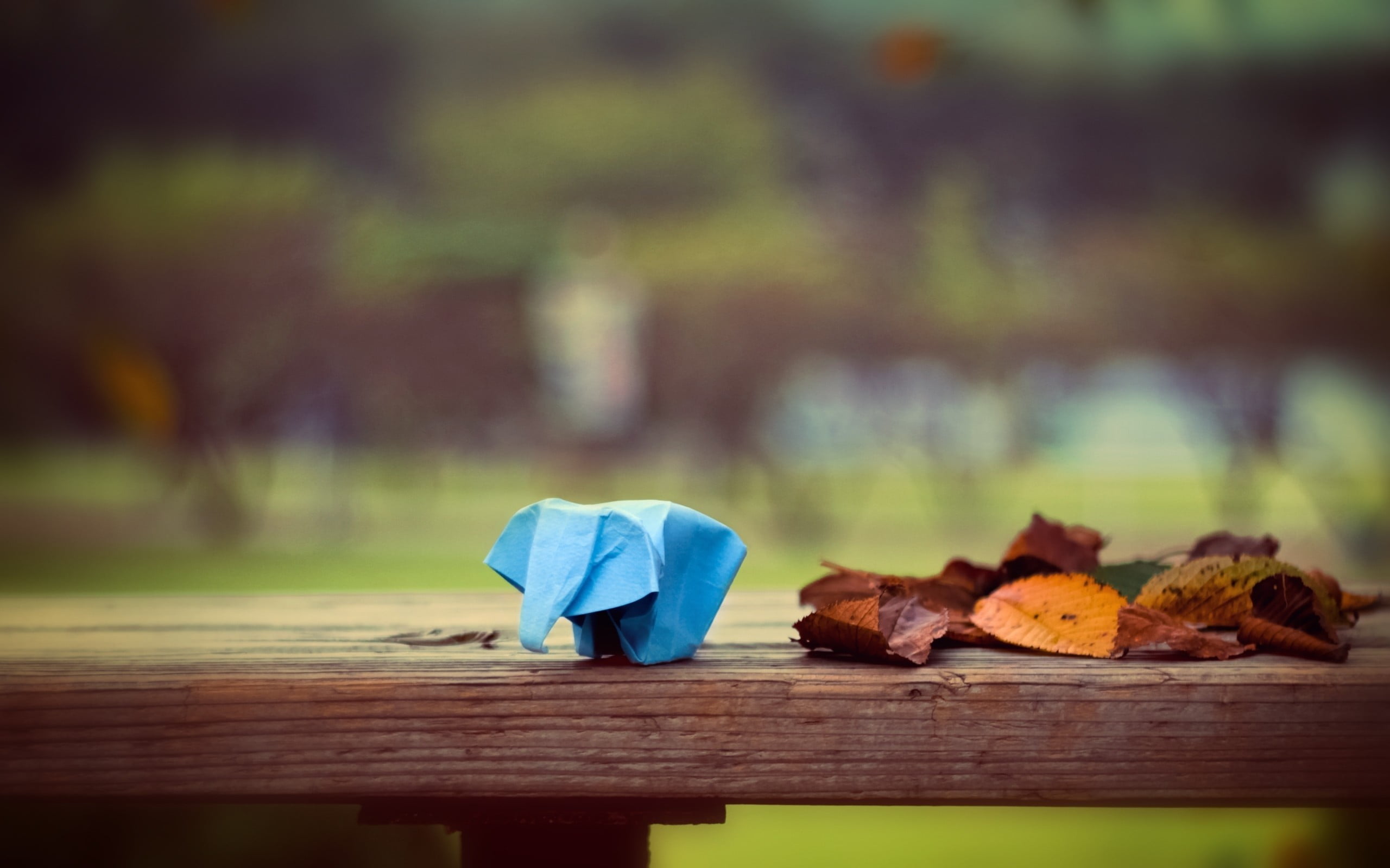 table, food and drink, concepts, plant, selective focus, red, backgrounds, park, origami, park - Man Made Space, season, depth of field, child, autumn, HD Wallpaper