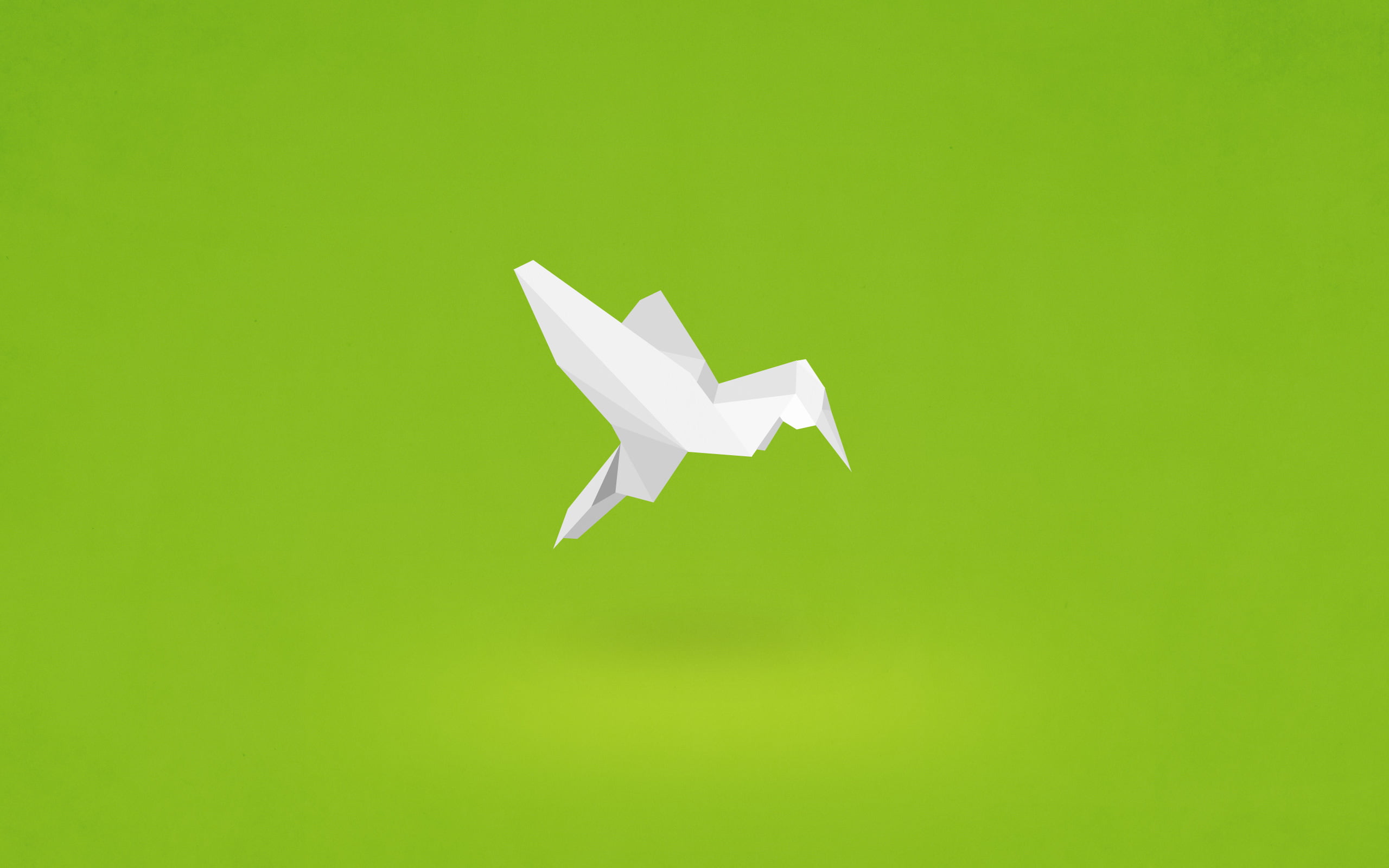 backgrounds, flying, green color, indoors, mode of transportation, air, white color, Hummingbird, no People, white, creativity, minimalism, air Vehicle, HD Wallpaper