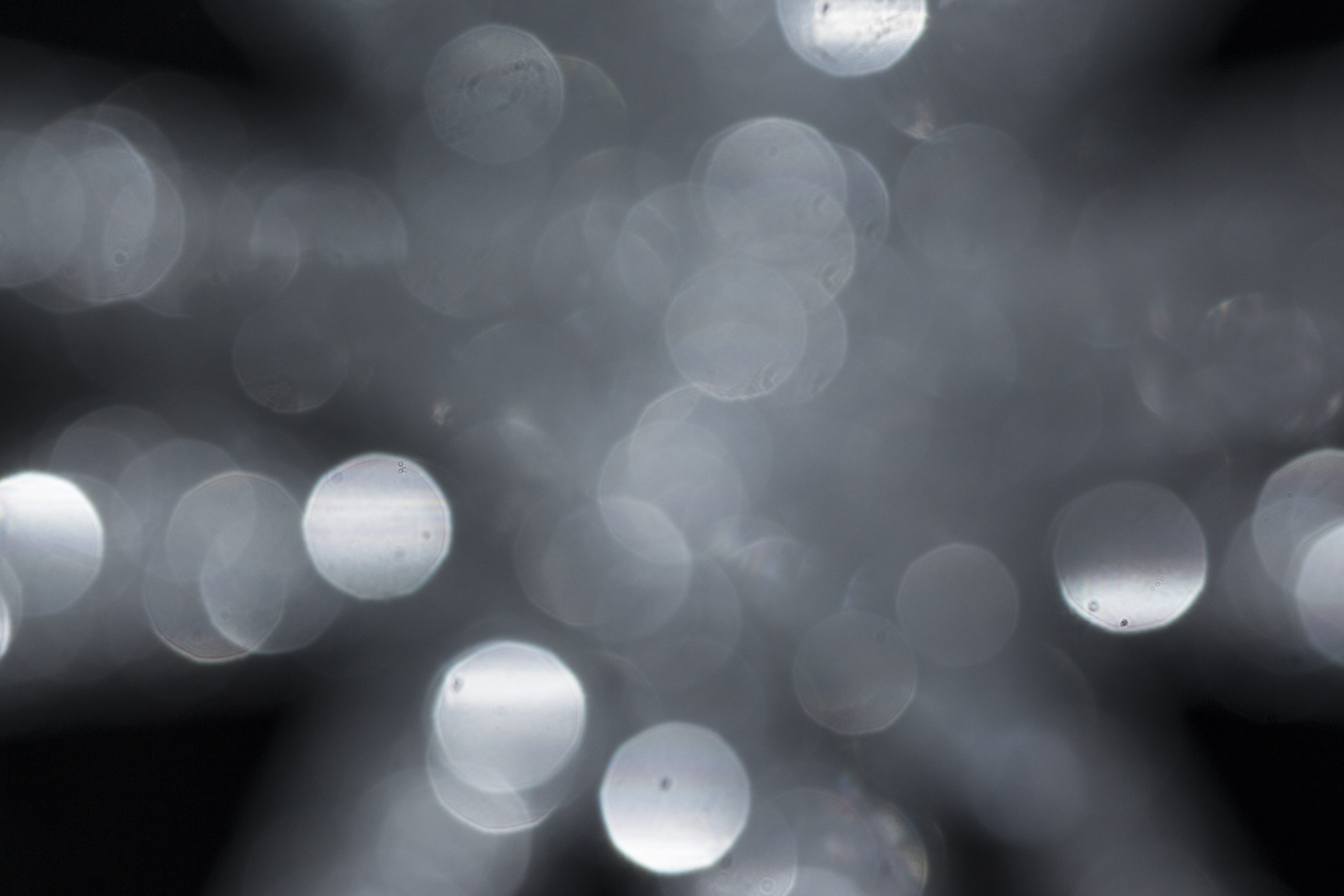 5K, lights, background, sparkle, shape, bokeh, pattern, out of focus, effect, reflection, nature, aperture stain, fade effect, geometric shape, full frame, HD Wallpaper