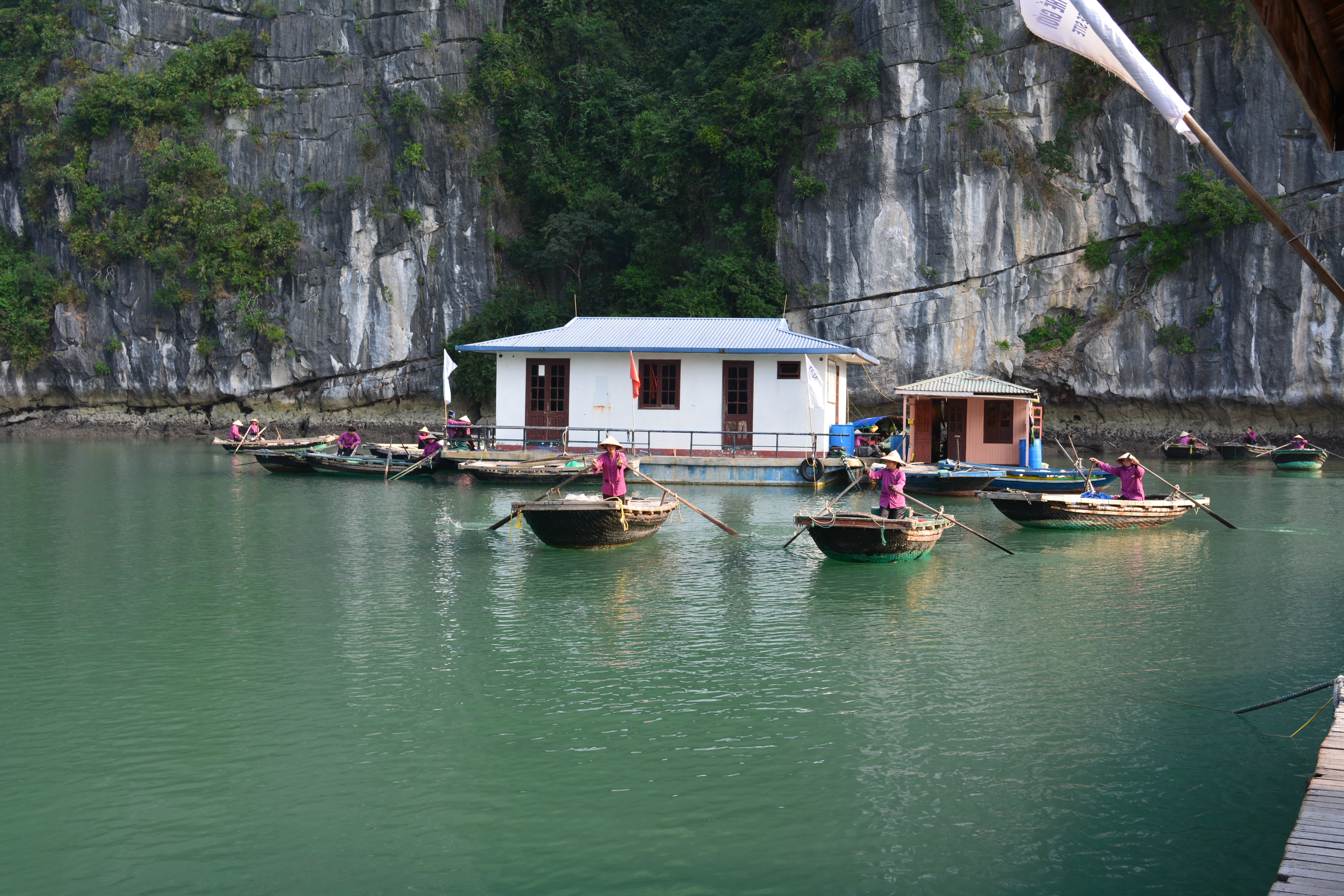 day, transportation, river, cruise, travel, architecture, mode of transportation, nature, nautical vessel, water, ha long bay, 5K, outdoors, tree, moored, HD Wallpaper