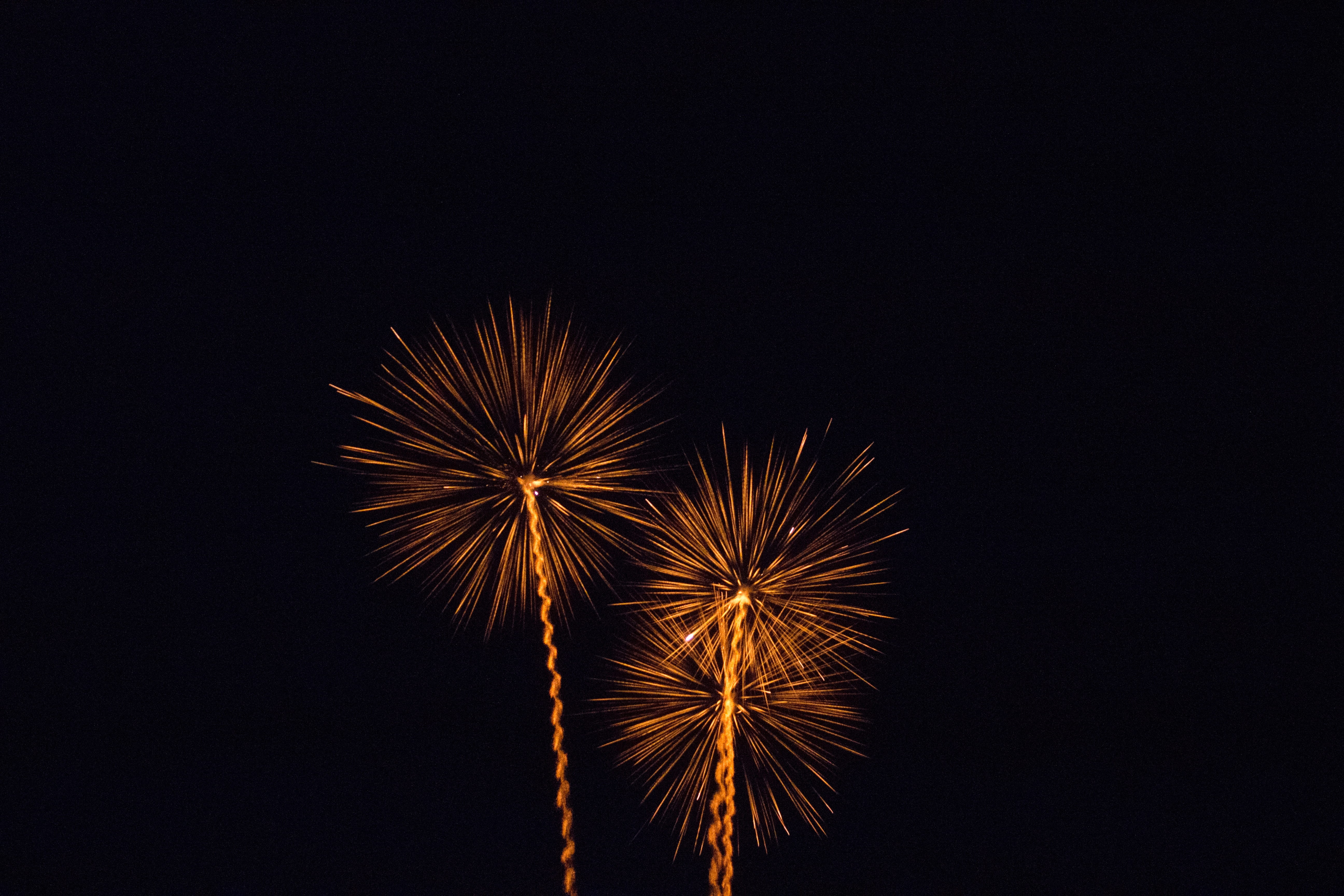 motion, no people, fireworks, copy space, illuminated, annual event, black background, firework - man made object, exploding, spain, firework display, sillot, HD Wallpaper
