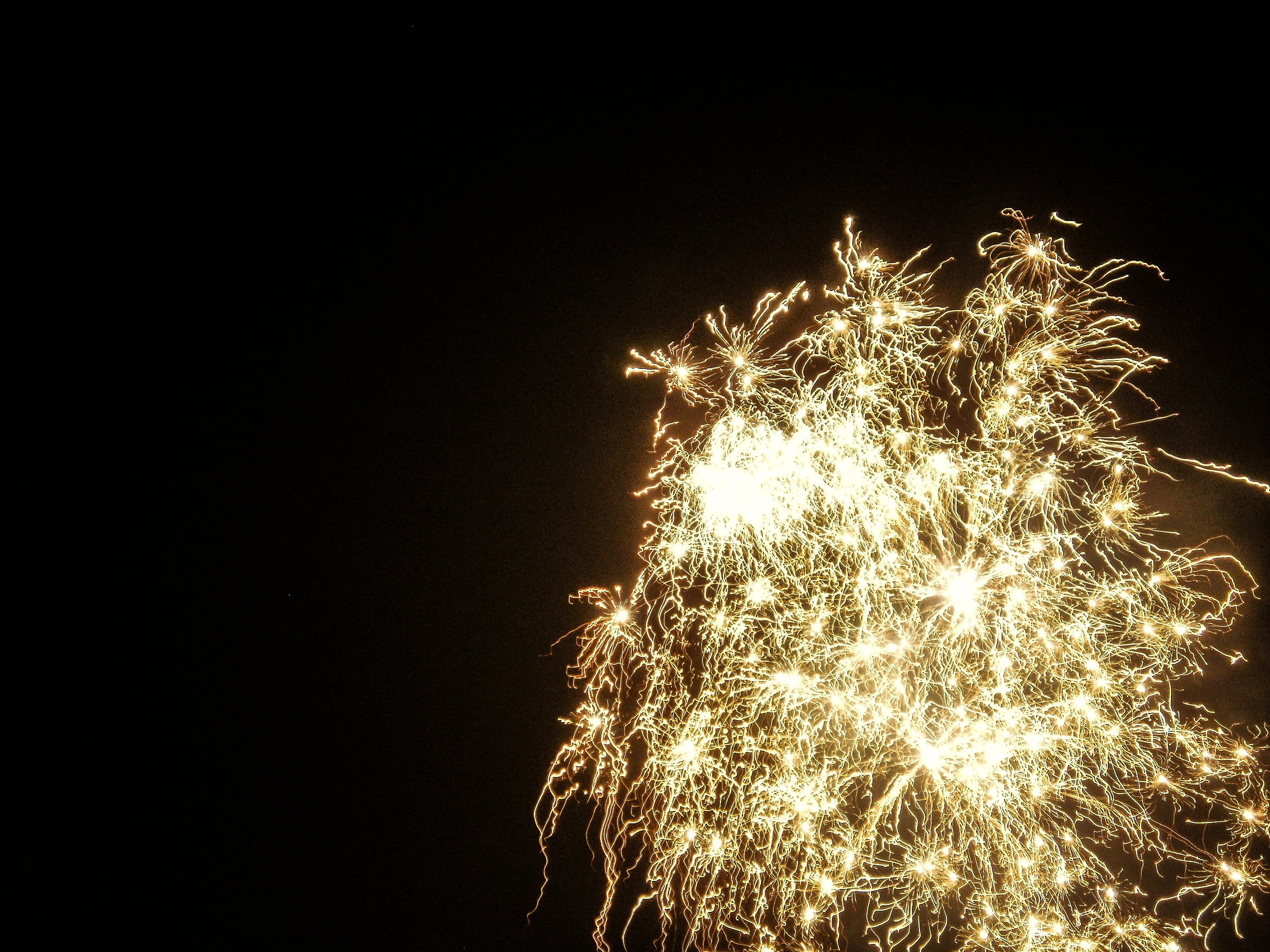 annual financial statements, copy space, motion, firework display, nature, outdoors, new years day, night, Fireworks, 4K, illuminated, festival, colorful, HD Wallpaper