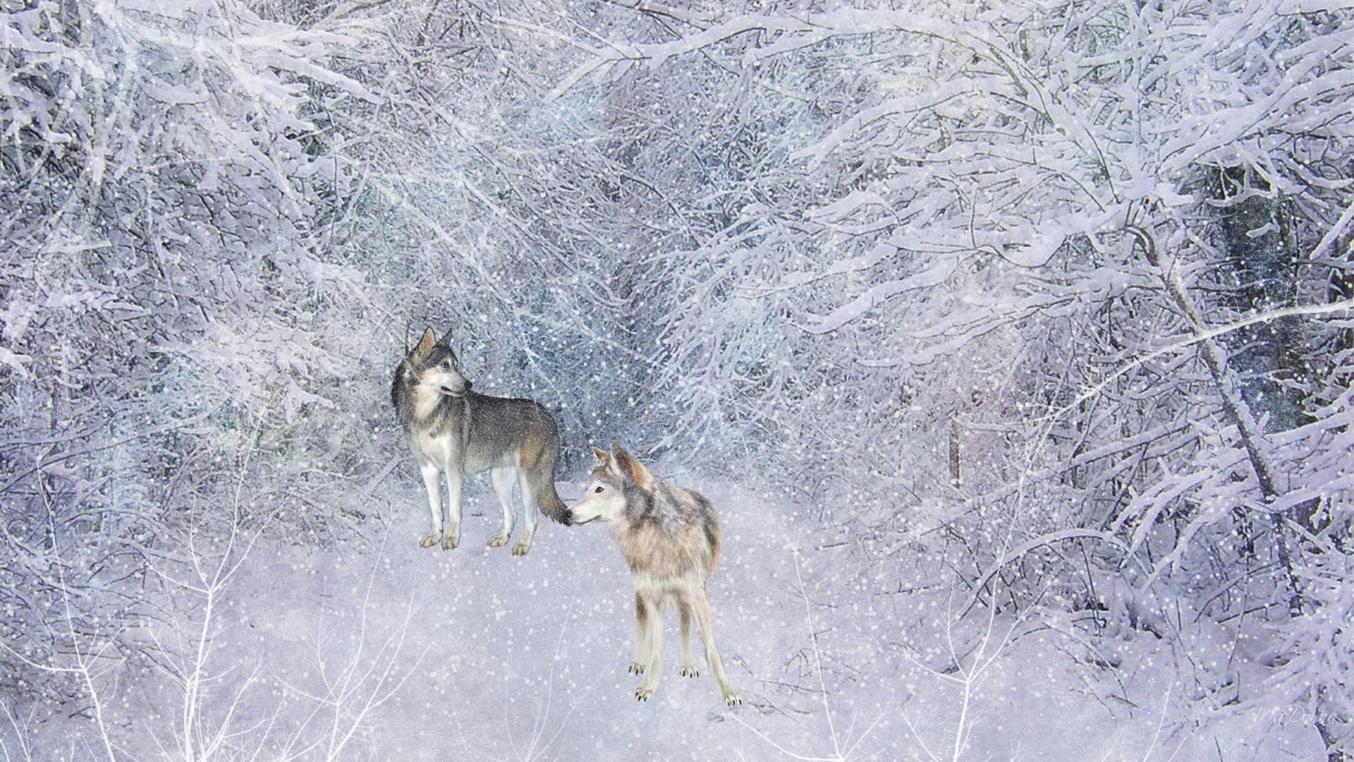 wolves, trees, 3d and abstract, snow, winter, firefox persona, 1080P, cold, painting, long, wolf, frost, path, HD Wallpaper