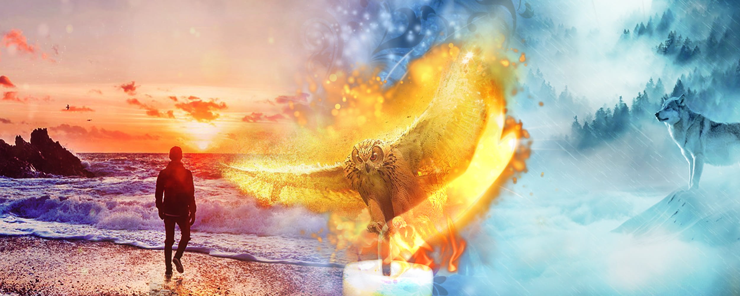 orange, water, digital composite, owl, light, waves, sunrise, forest, golden, rear view, photoshop, magic, guy, outdoors, snow, new, newstart, shape, sunlight, HD Wallpaper