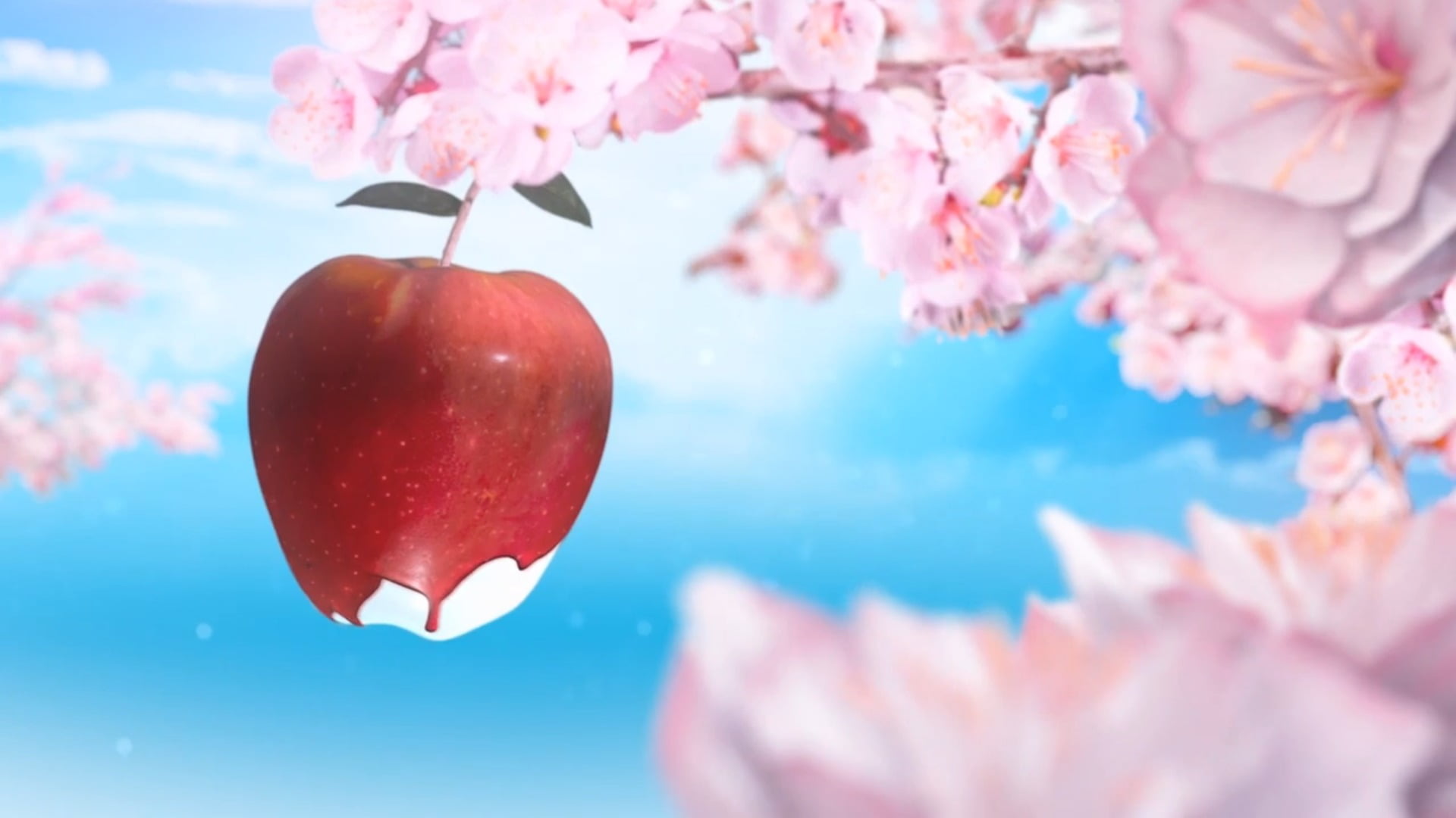 plant, fruit, 1080P, freshness, water, tree, healthy eating, close-up, ripe, day, food, cherry tree, painting, white, beauty in nature, outdoors, red, HD Wallpaper