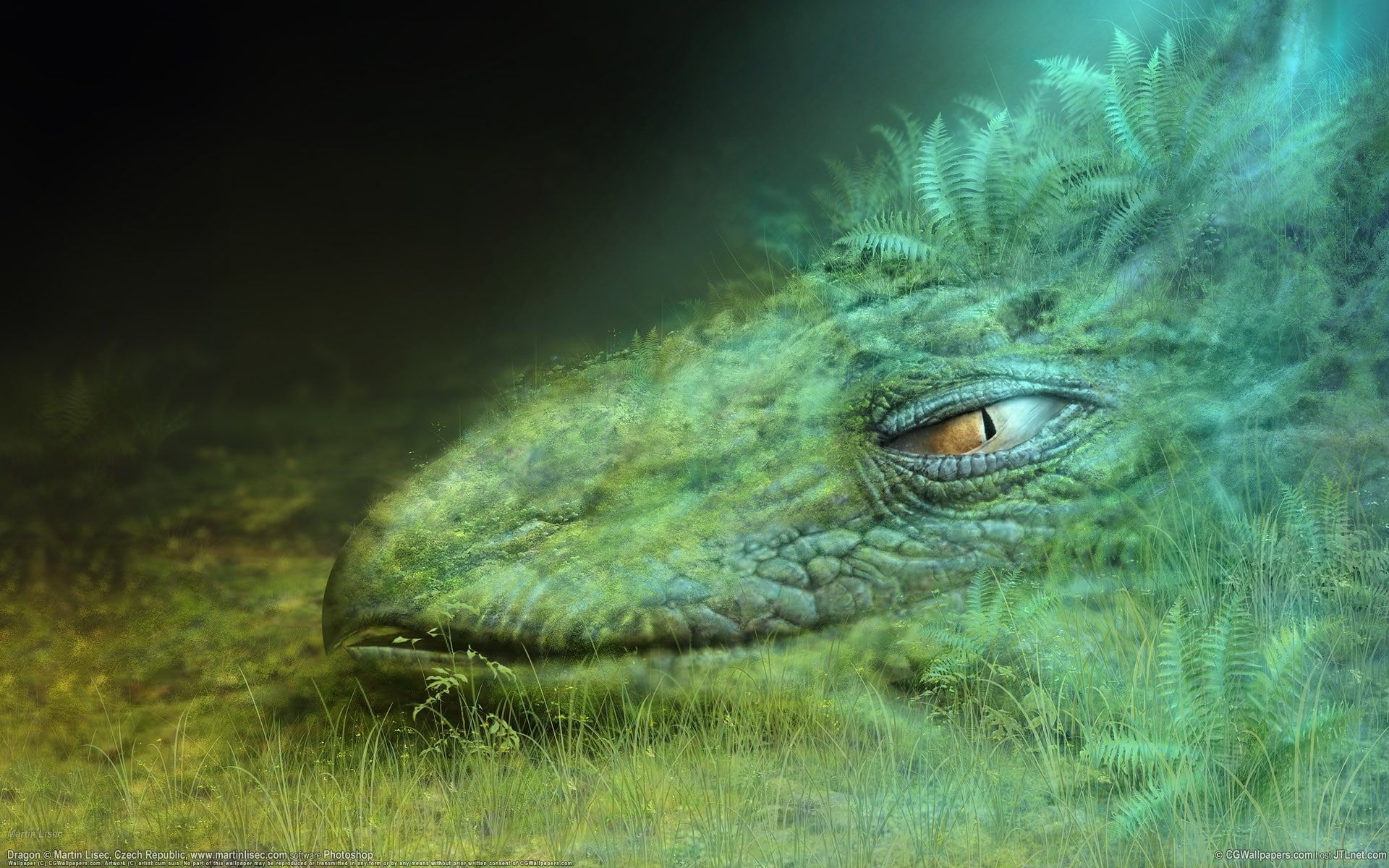 ferns, digital, dragon, digital art, creature, grass, 1080P, crocodile, fantasy, art, gray, fantasy art, HD Wallpaper